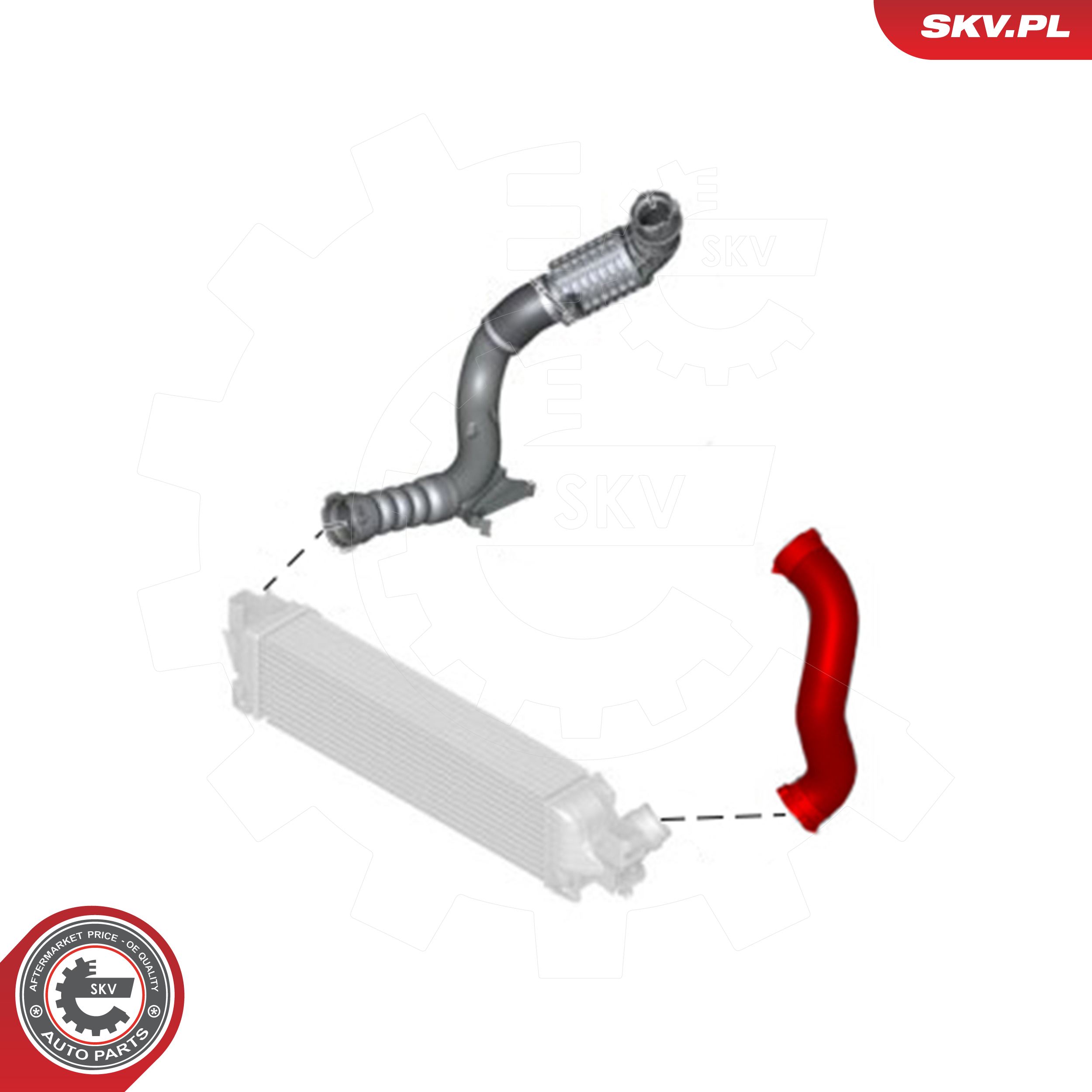 ESEN SKV Ladeluftslange 43skv277 for BMW