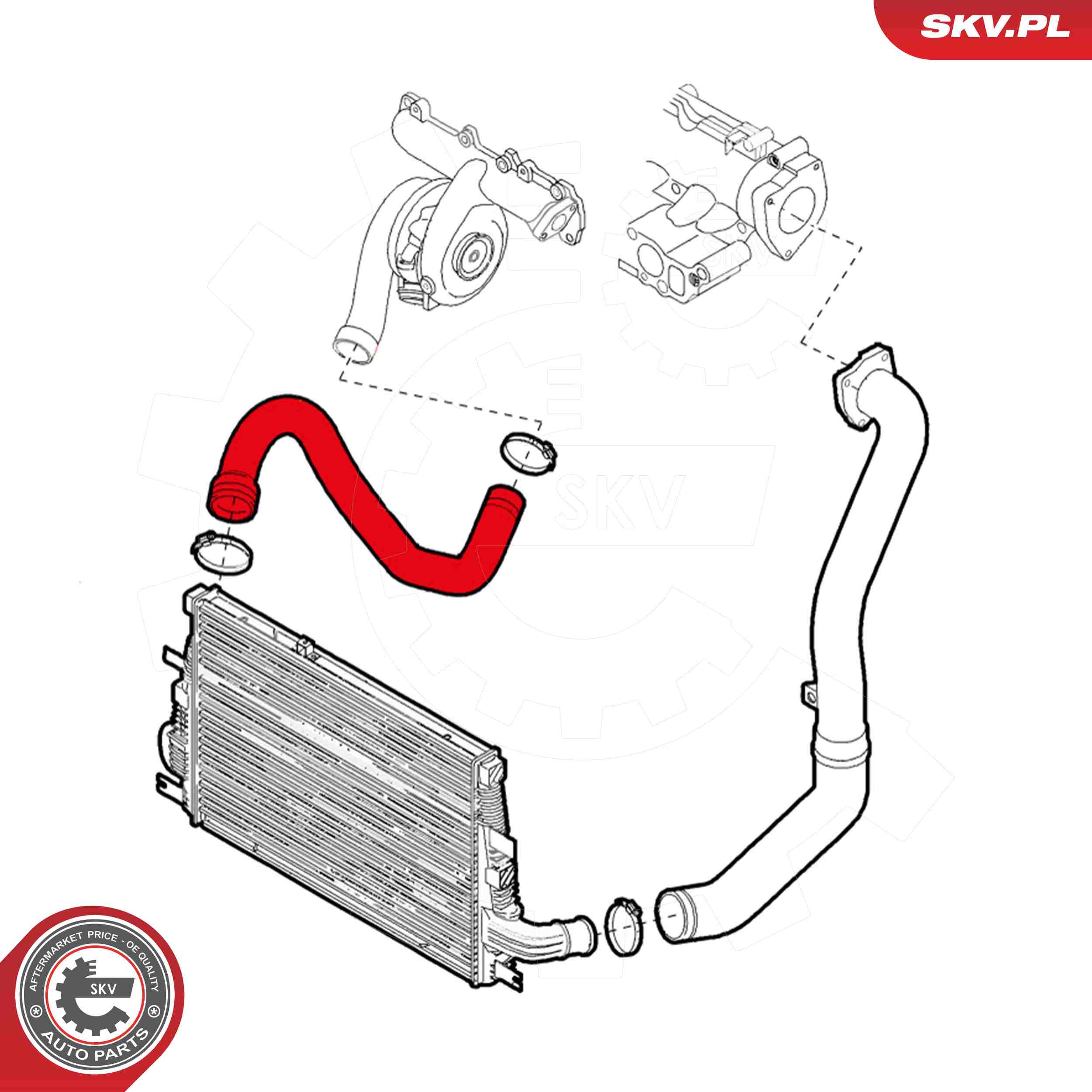 ESEN SKV Ladeluftslange 24skv793 i passagerside for ALFA ROMEO