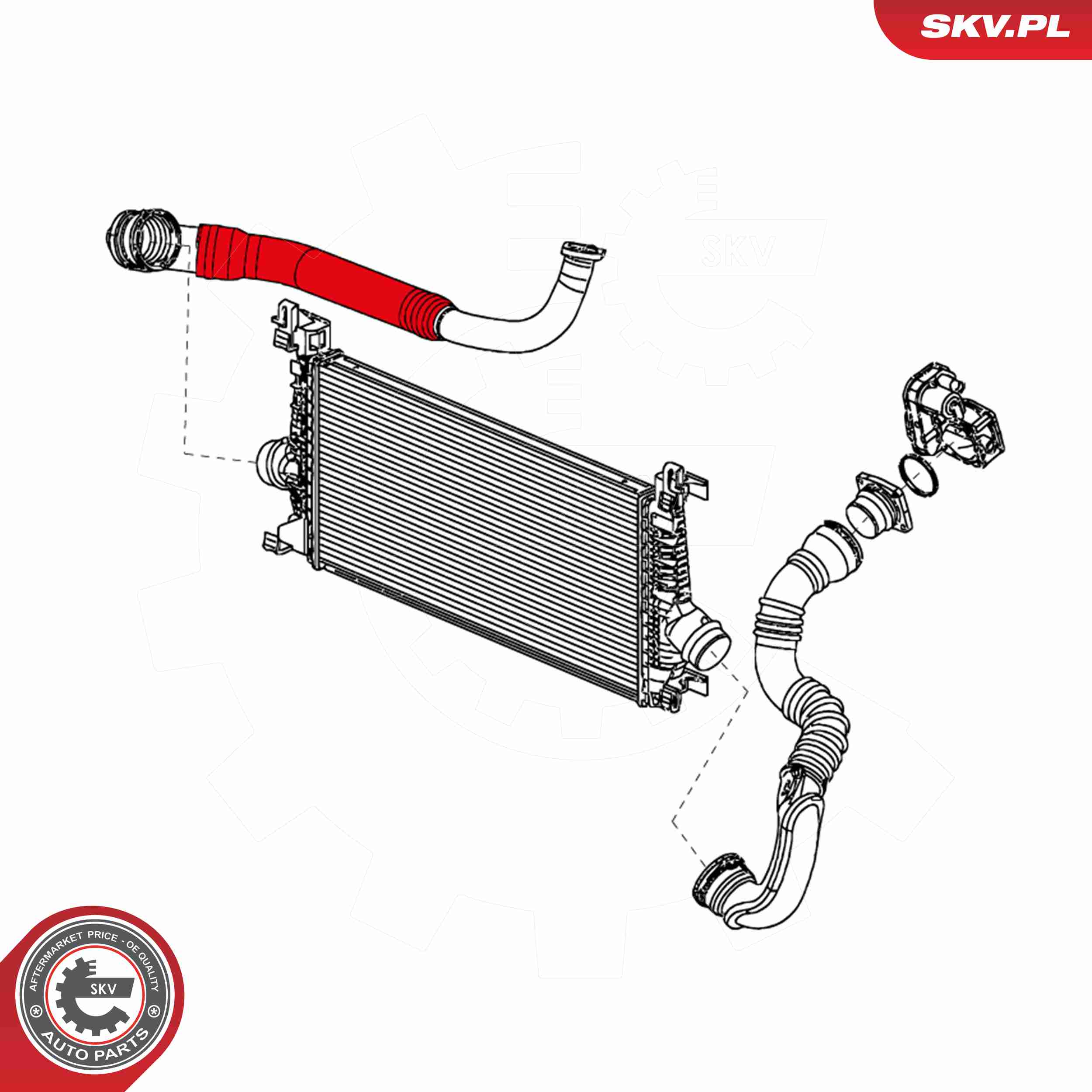 ESEN SKV Ladeluftslange 24skv934 i passagerside for CHEVROLET