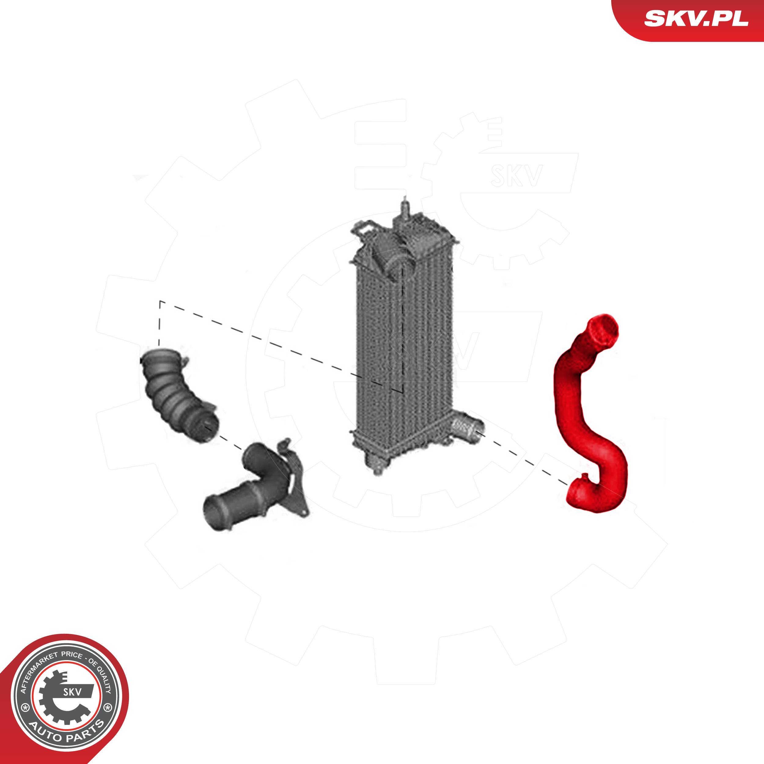ESEN SKV Ladeluftslange 43skv069 for FORD