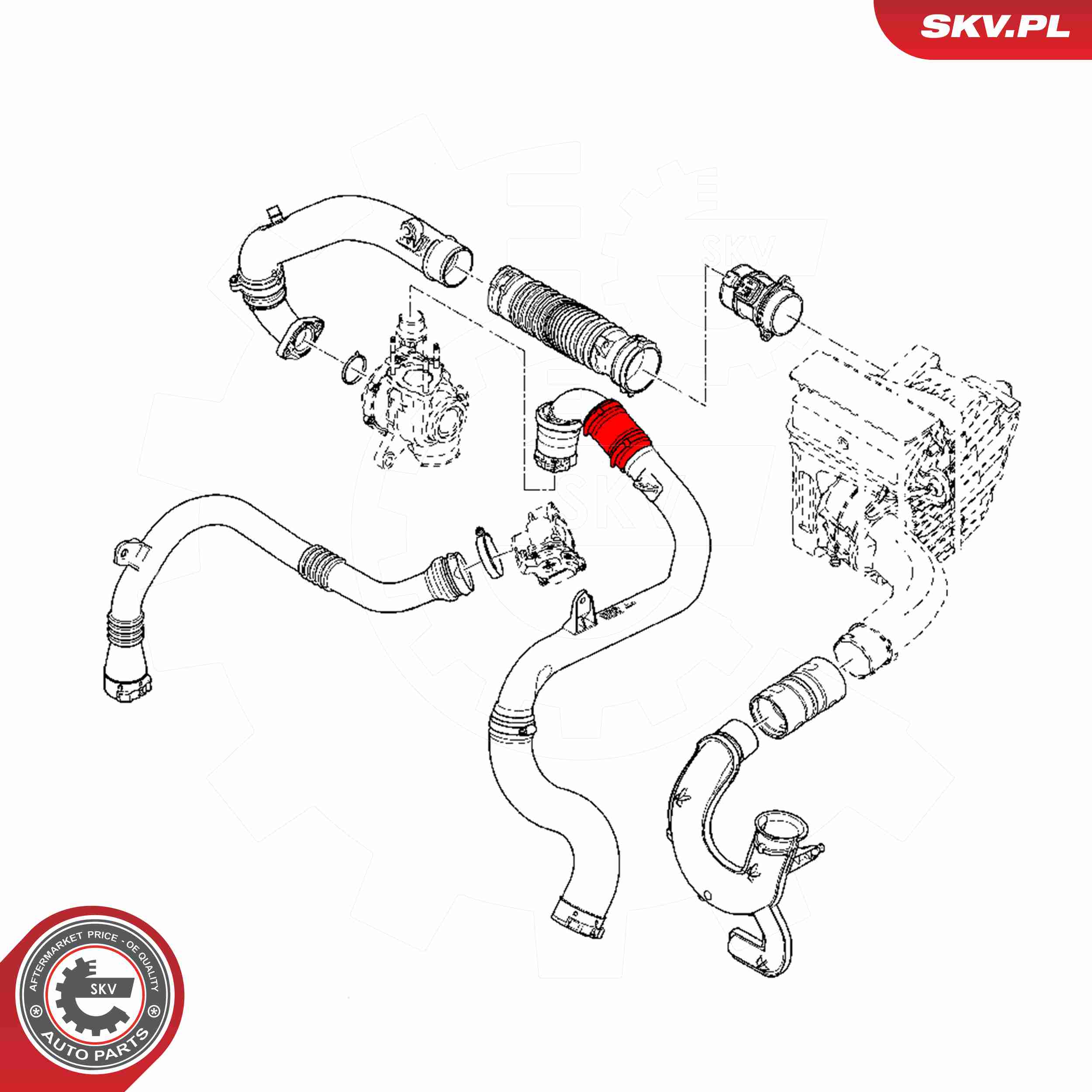 ESEN SKV Ladeluftslange 24skv811 for RENAULT