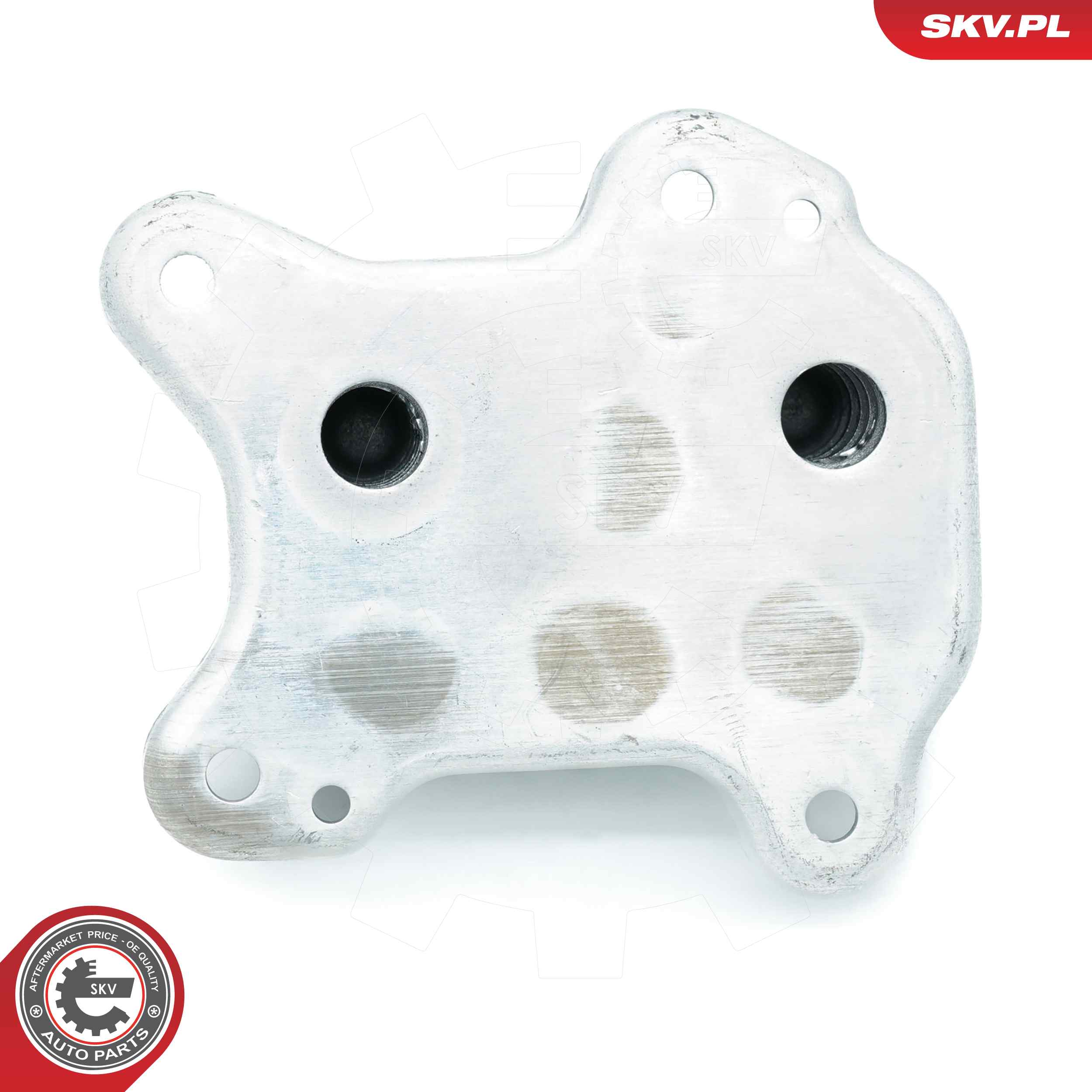ESEN SKV Oliekøler, motorolie 31skv229 foran for OPEL
