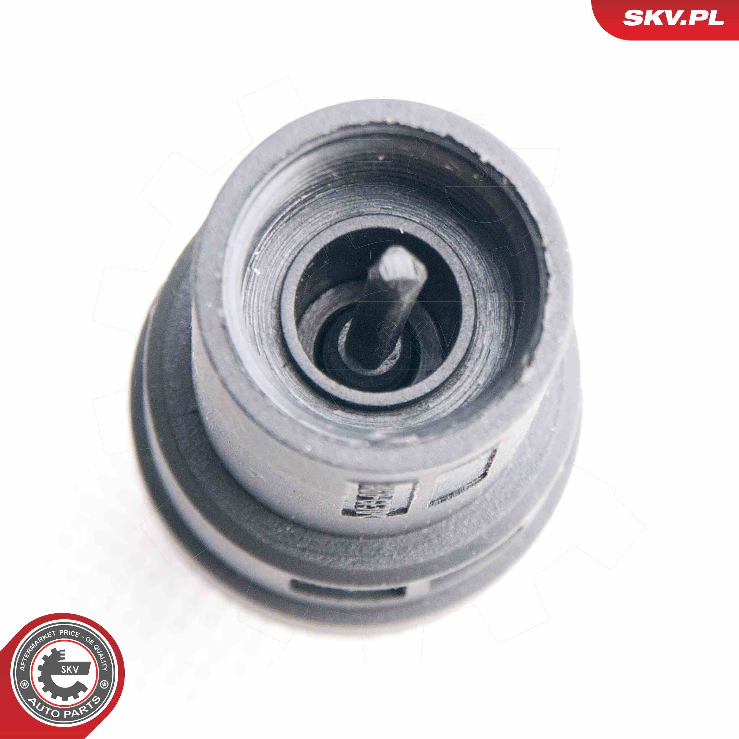 ESEN SKV Sensor, hastighed 17skv356 for RENAULT