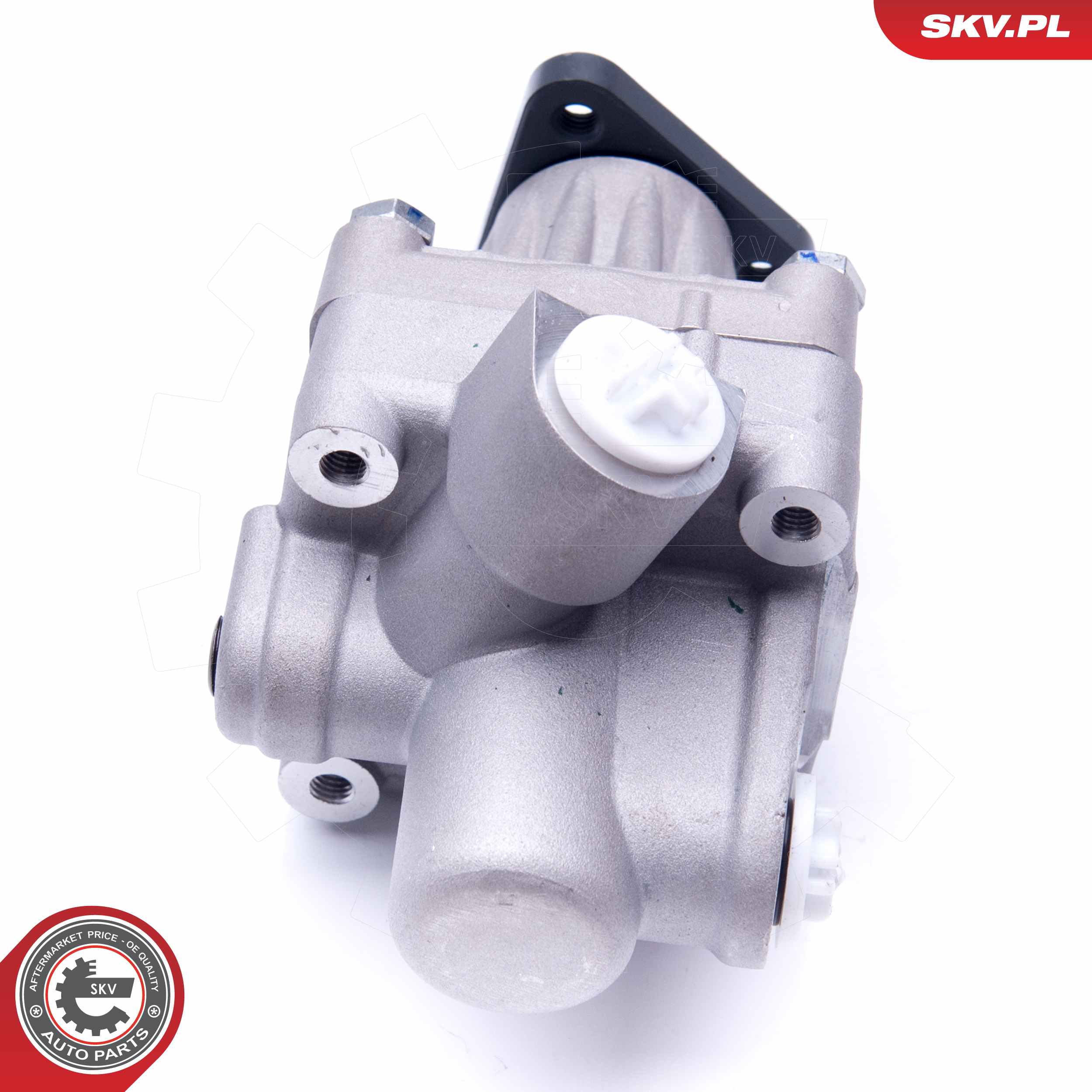 ESEN SKV Hydraulikpumpe, styresystem 10skv245 for BMW