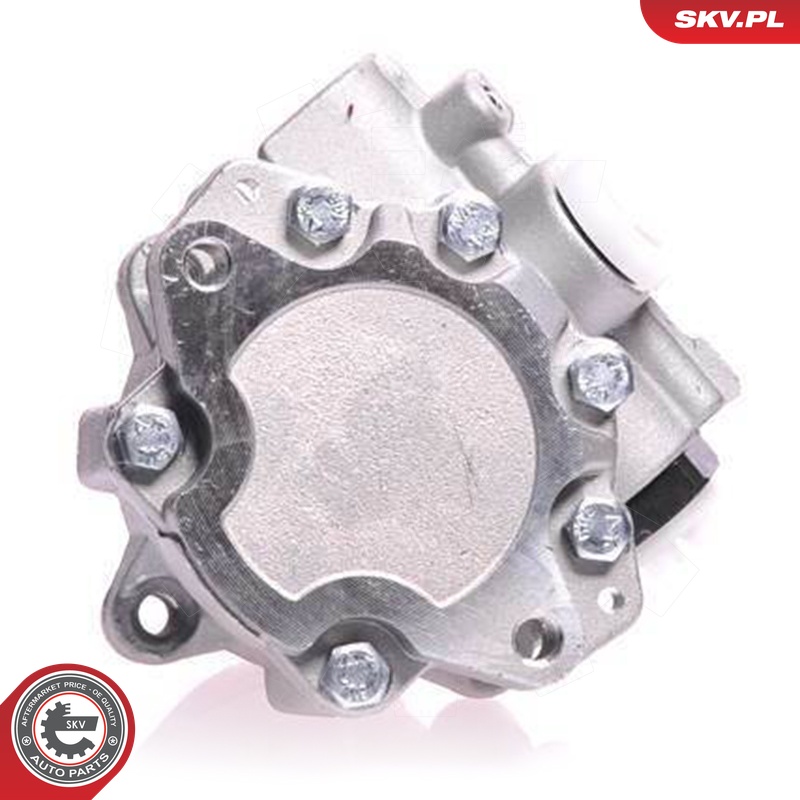 ESEN SKV Hydraulikpumpe, styresystem 10skv121 for VW VAG