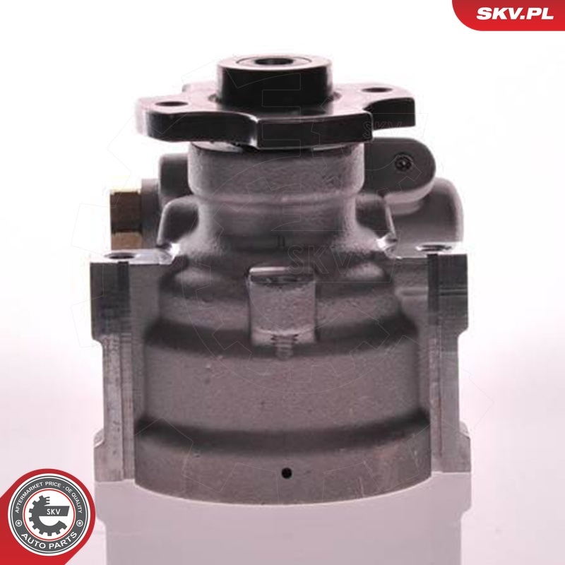 ESEN SKV Hydraulikpumpe, styresystem 10skv133 for CITROËN/PEUGEOT PEUGEOT