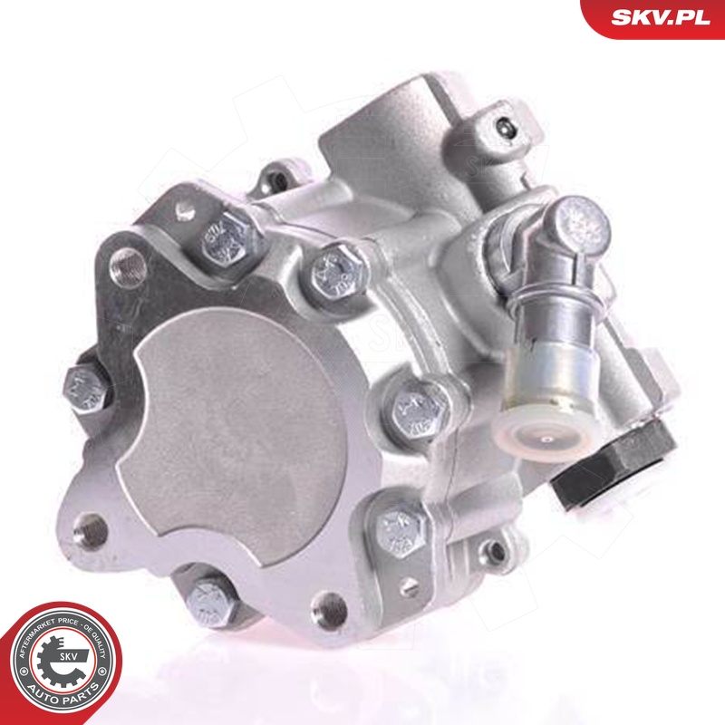 ESEN SKV Hydraulikpumpe, styresystem 10skv167 for VAG