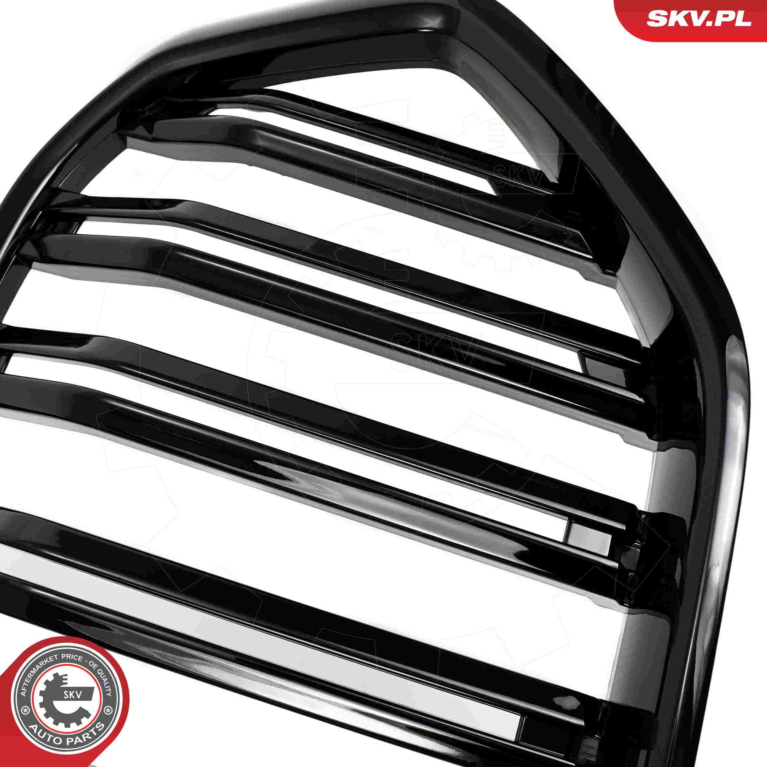 ESEN SKV Kølergitter 66skv309 for BMW
