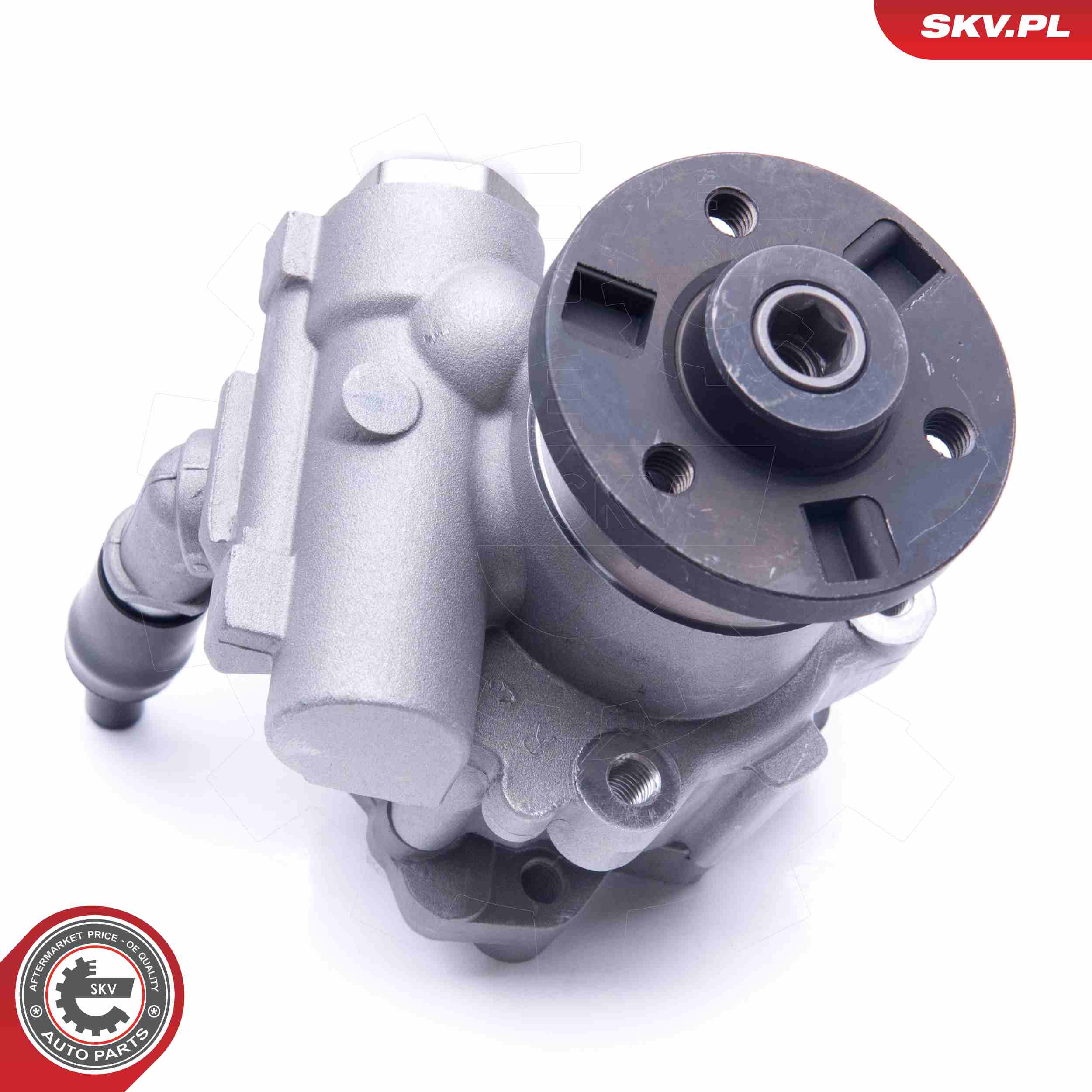 ESEN SKV Hydraulikpumpe, styresystem 10skv246 for BMW