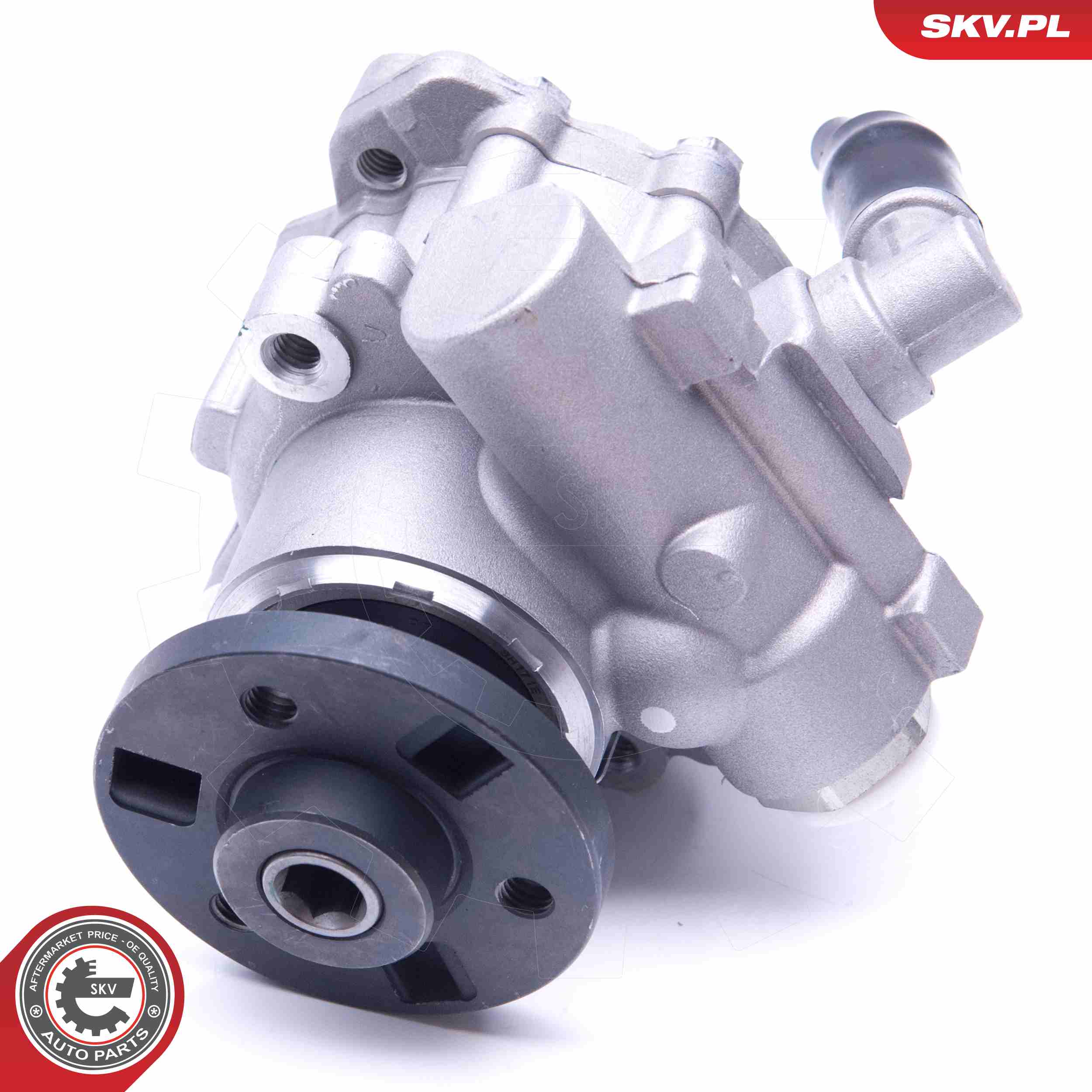 ESEN SKV Hydraulikpumpe, styresystem 10skv247 for BMW