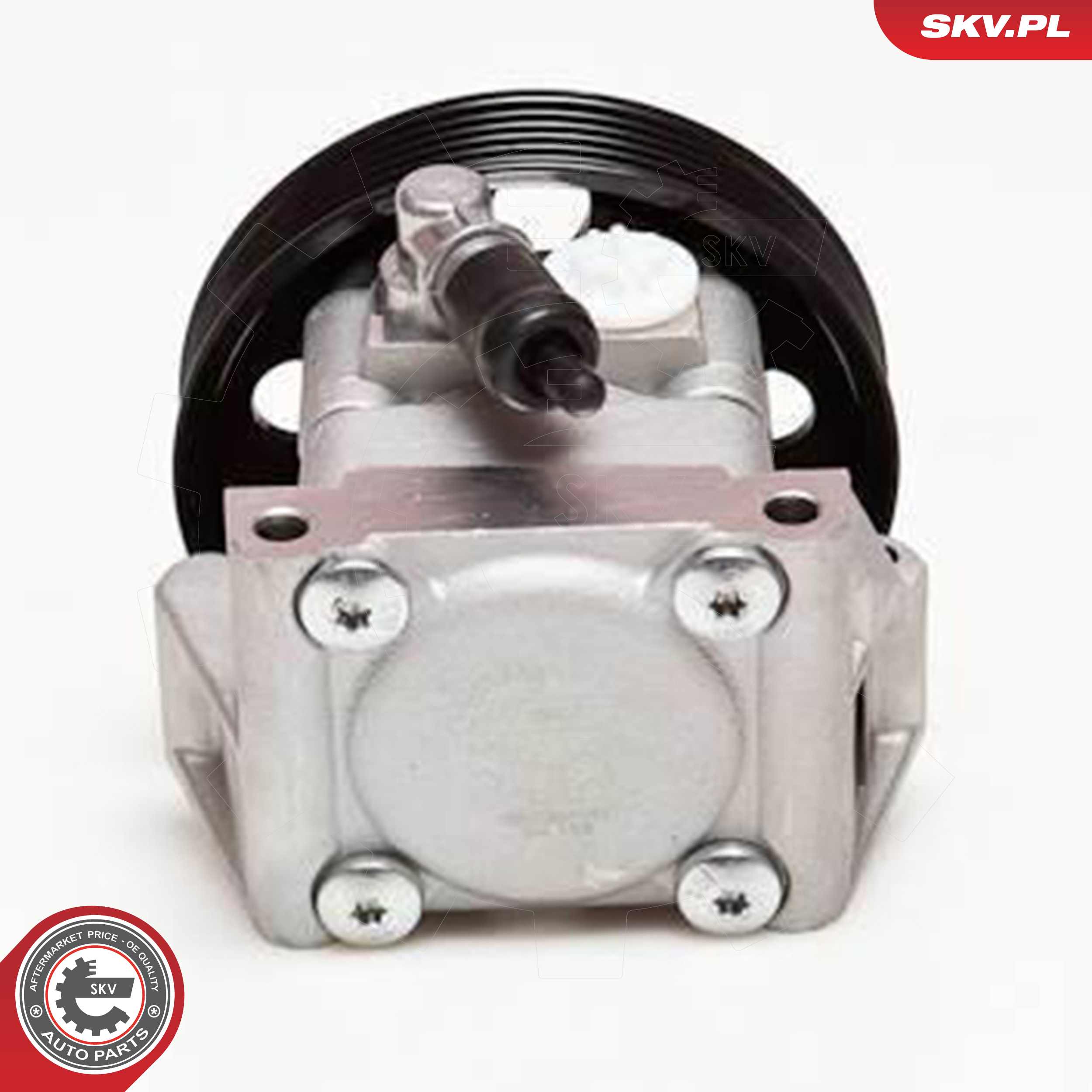 ESEN SKV Hydraulikpumpe, styresystem 10skv001 for FORD