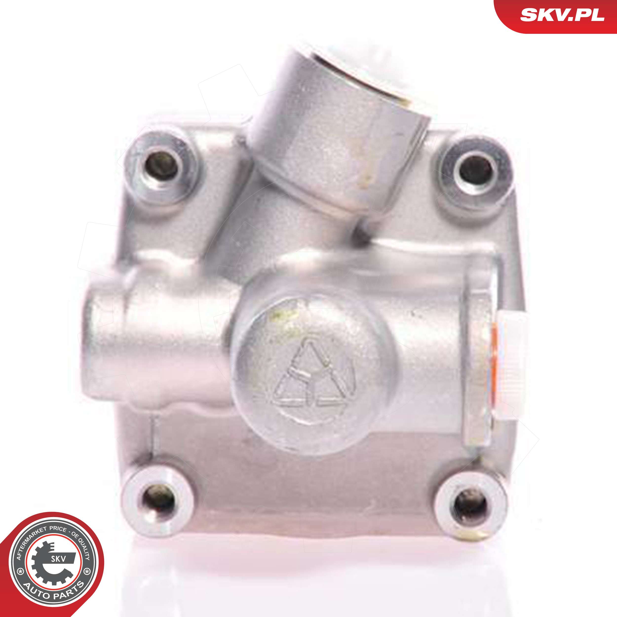 ESEN SKV Hydraulikpumpe, styresystem 10skv011 for BMW