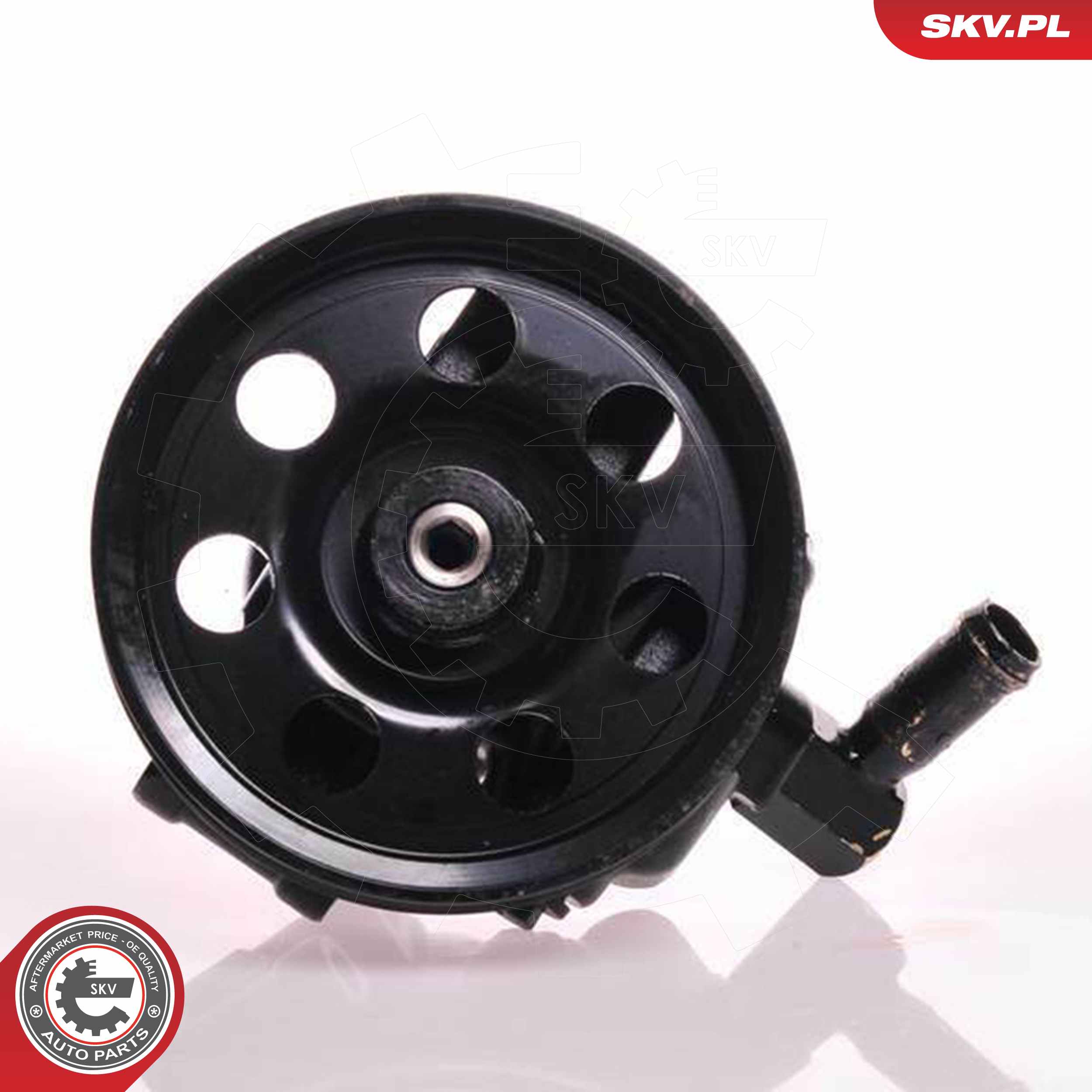 ESEN SKV Hydraulikpumpe, styresystem 10skv019 for FORD