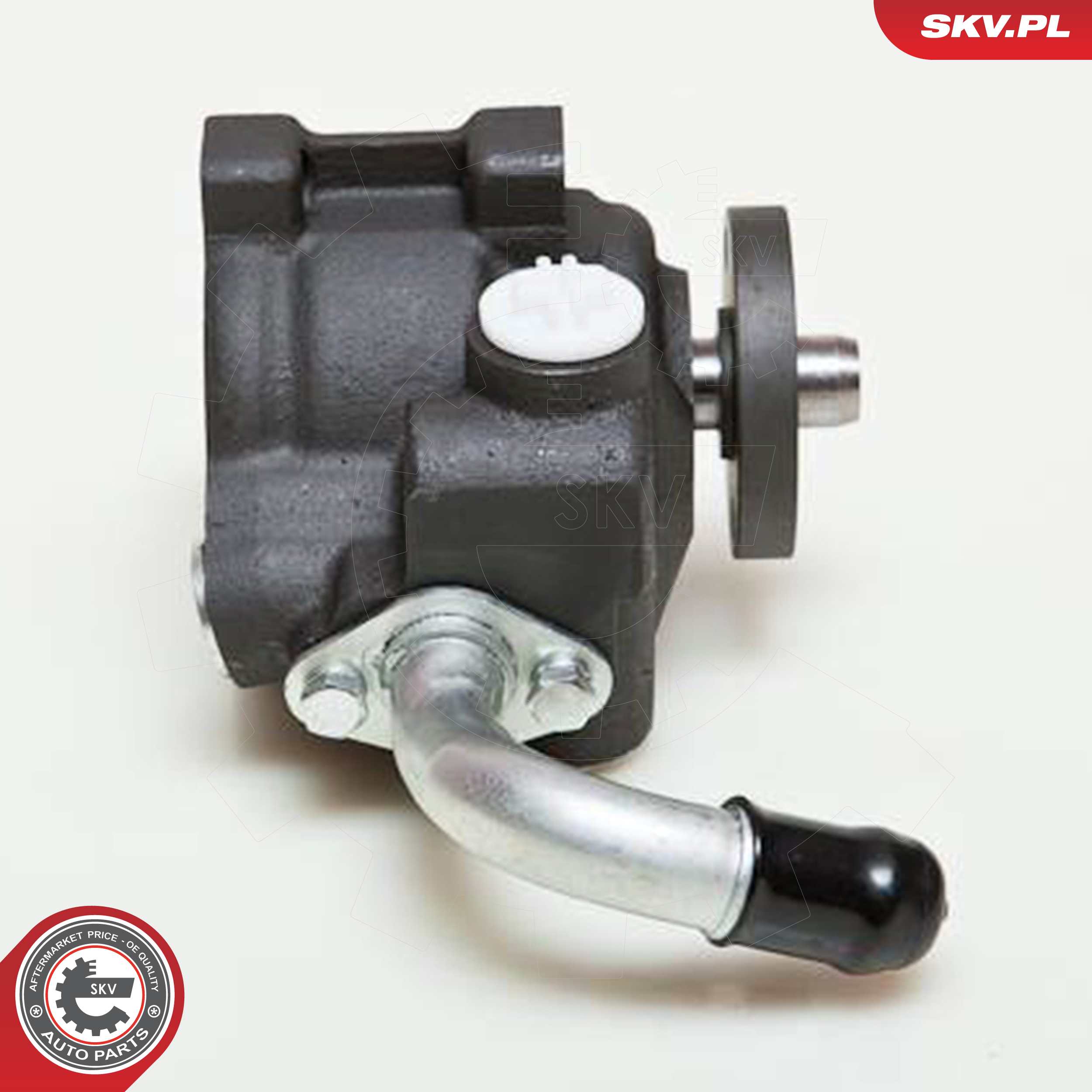 ESEN SKV Hydraulikpumpe, styresystem 10skv036 for FORD