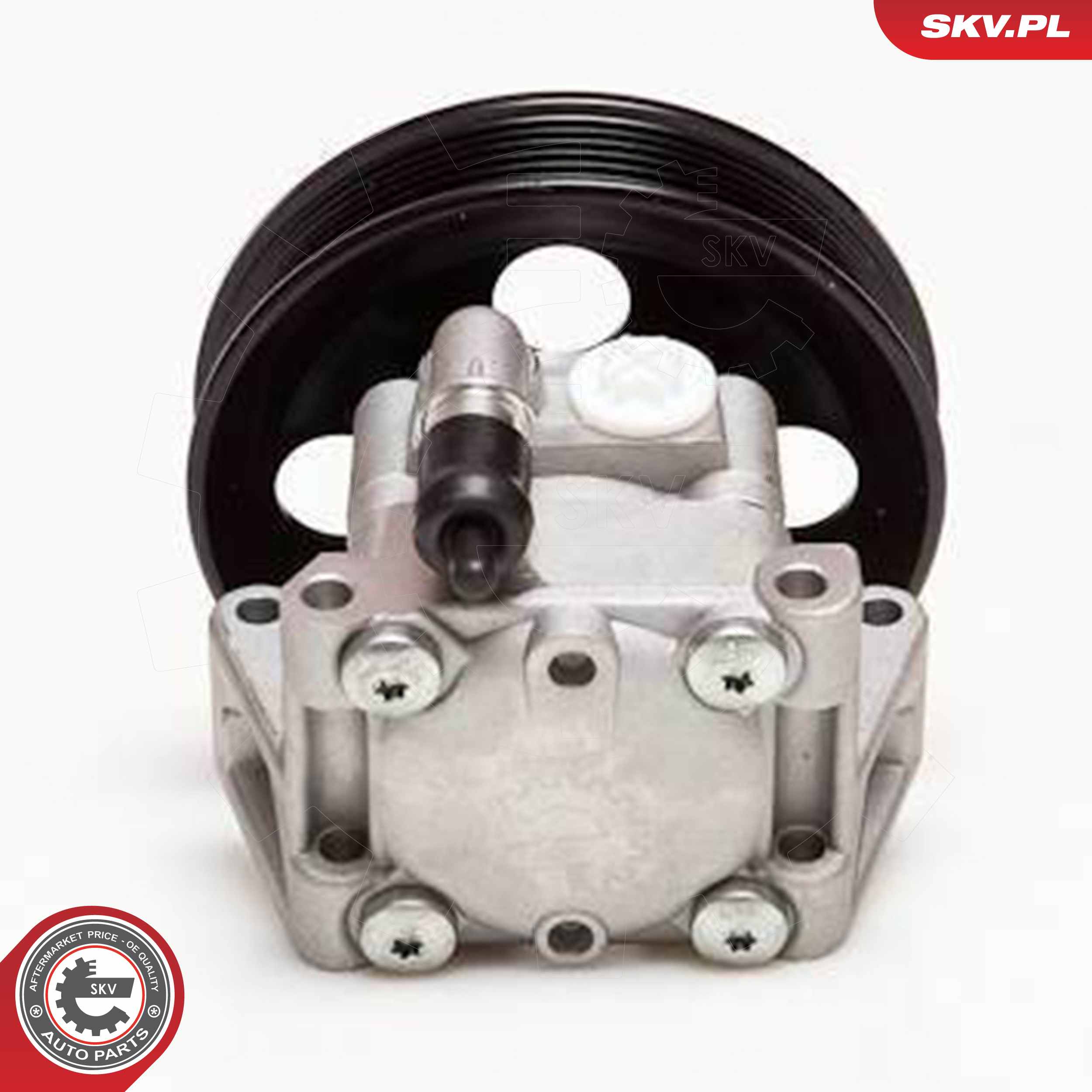 ESEN SKV Hydraulikpumpe, styresystem 10skv050 for JAGUAR