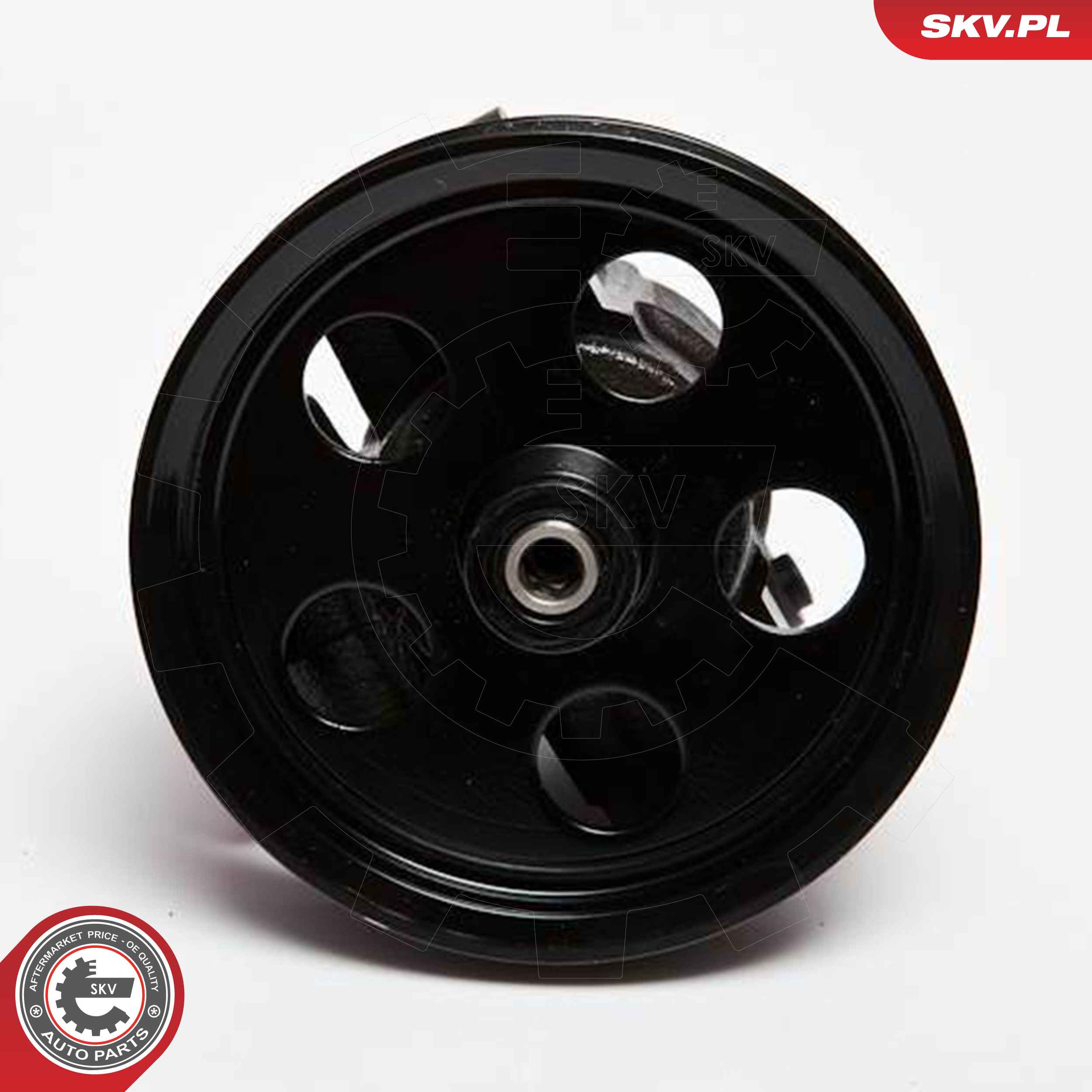 ESEN SKV Hydraulikpumpe, styresystem 10skv067 for FORD