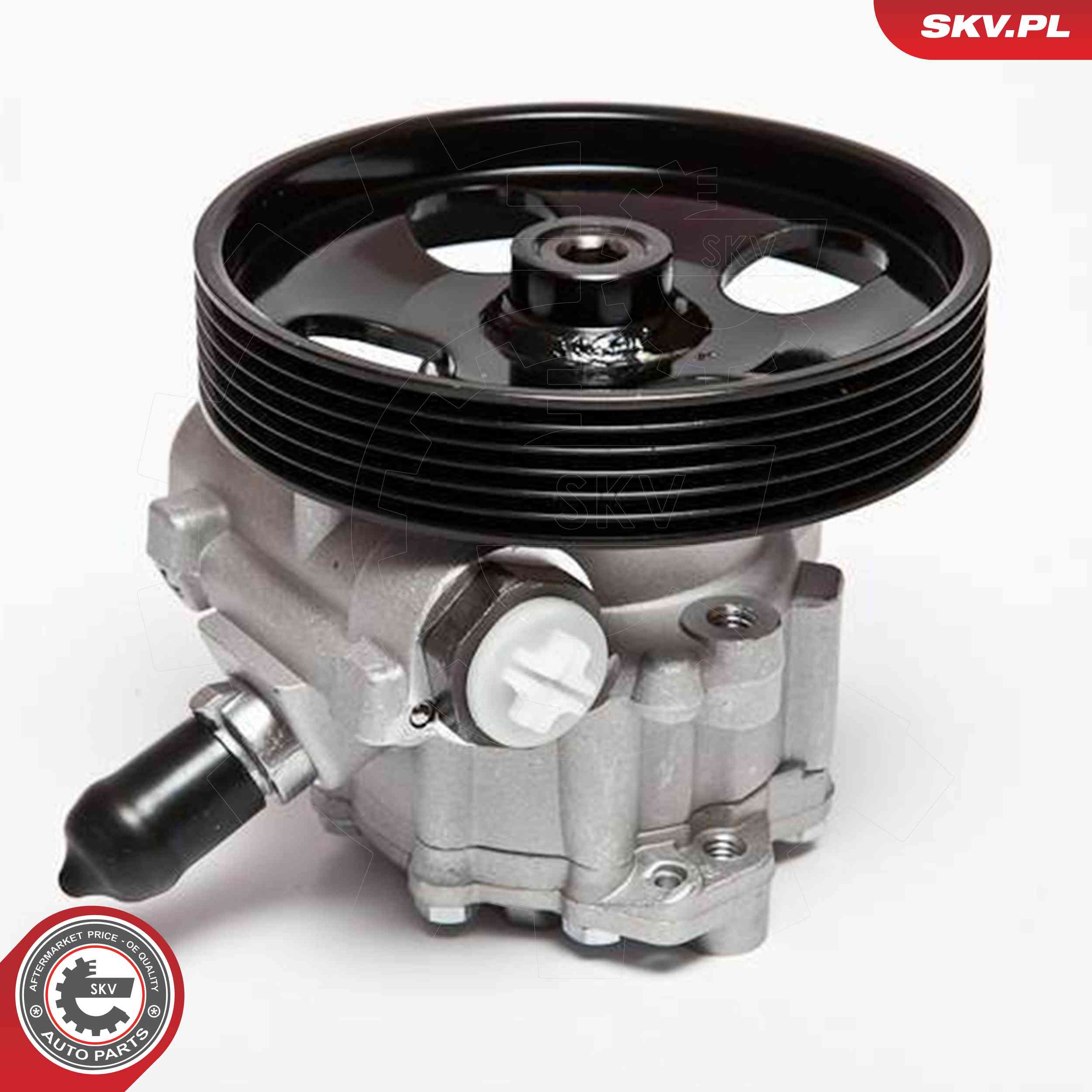 ESEN SKV Hydraulikpumpe, styresystem 10skv023 for PEUGEOT