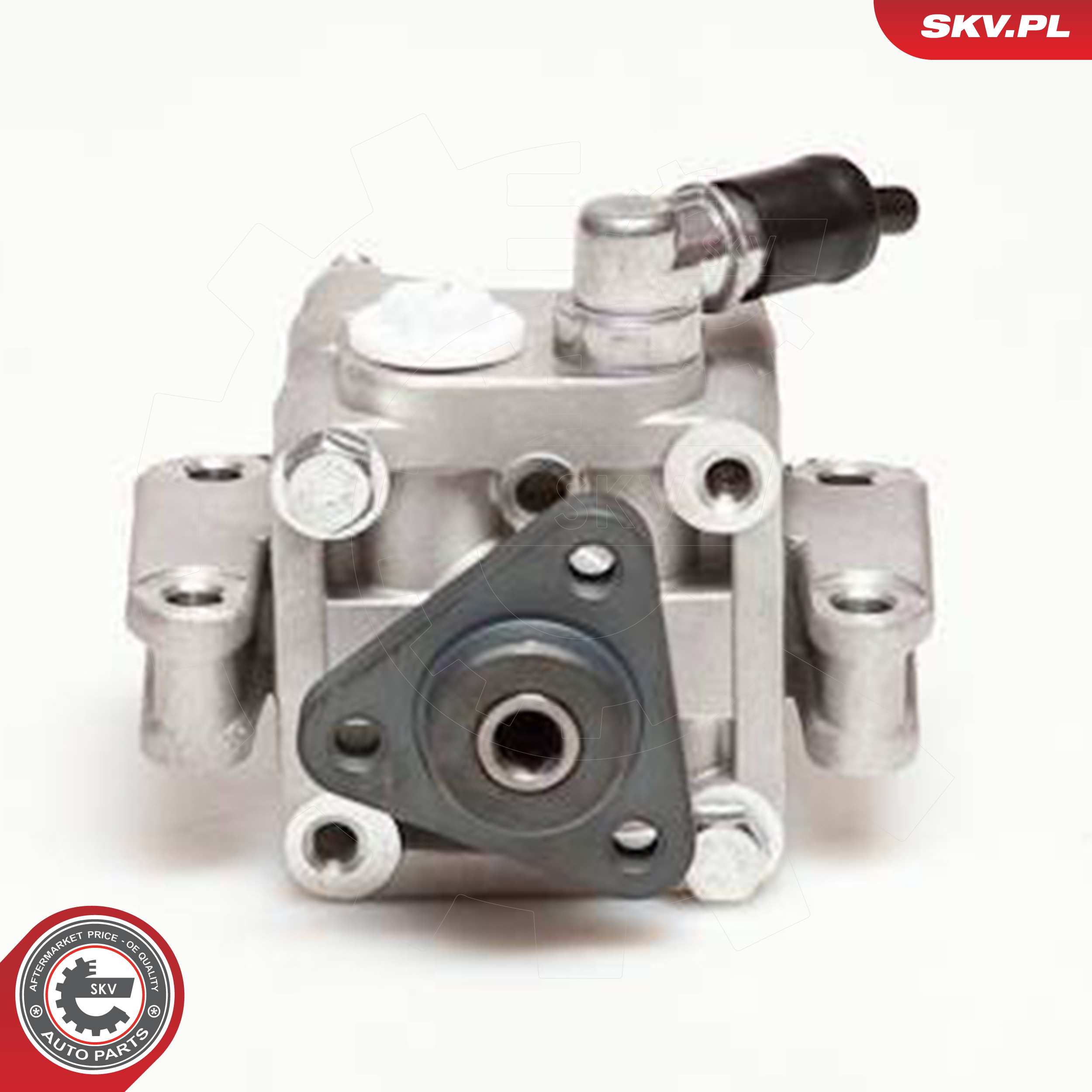 ESEN SKV Hydraulikpumpe, styresystem 10skv088 for BMW