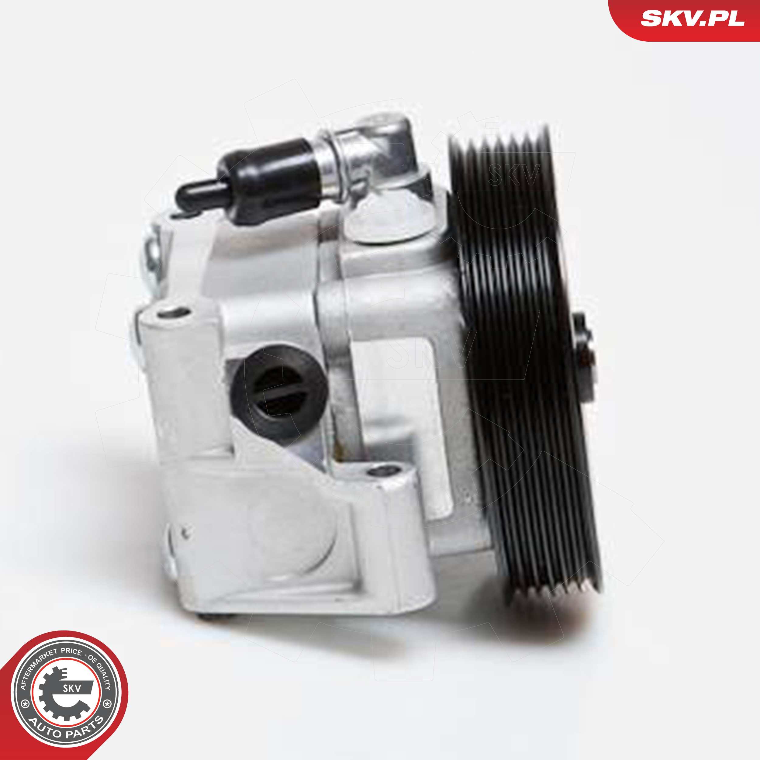 ESEN SKV Hydraulikpumpe, styresystem 10skv091 for FORD VOLVO