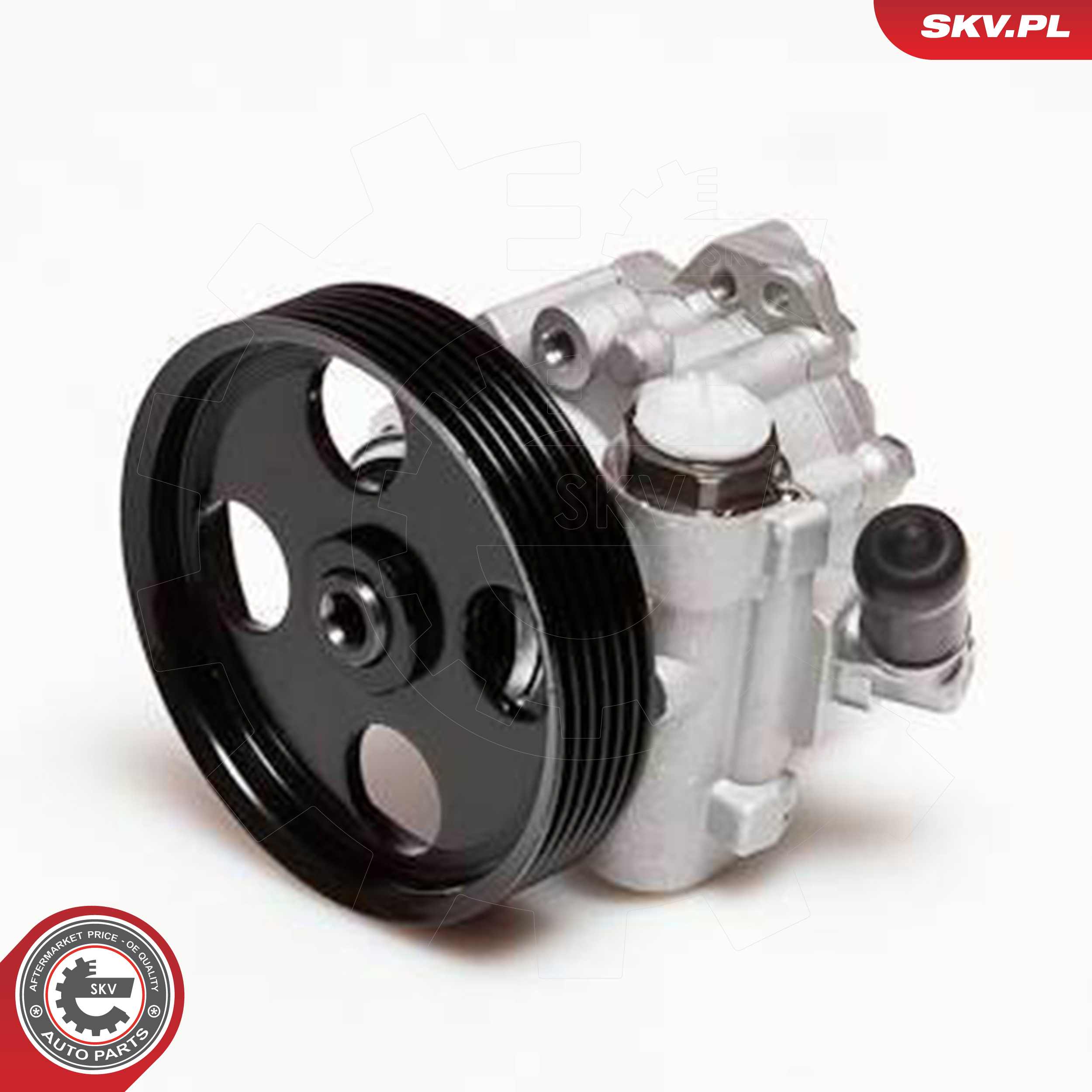 ESEN SKV Hydraulikpumpe, styresystem 10skv098 for PEUGEOT