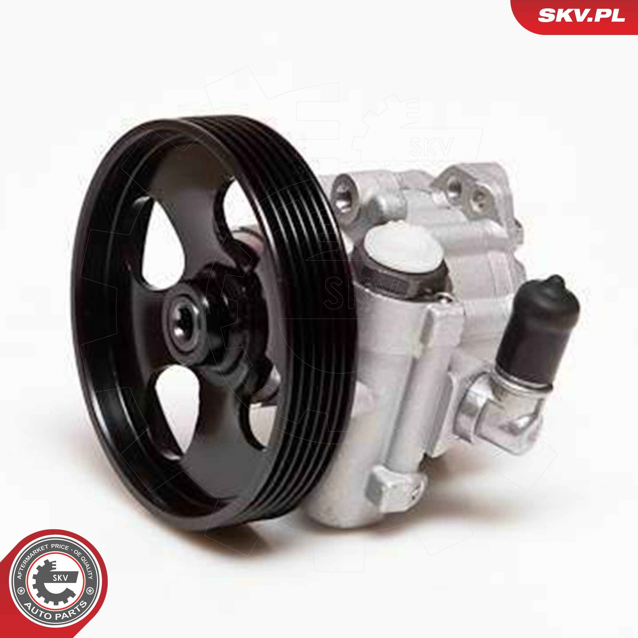 ESEN SKV Hydraulikpumpe, styresystem 10skv100 for PEUGEOT