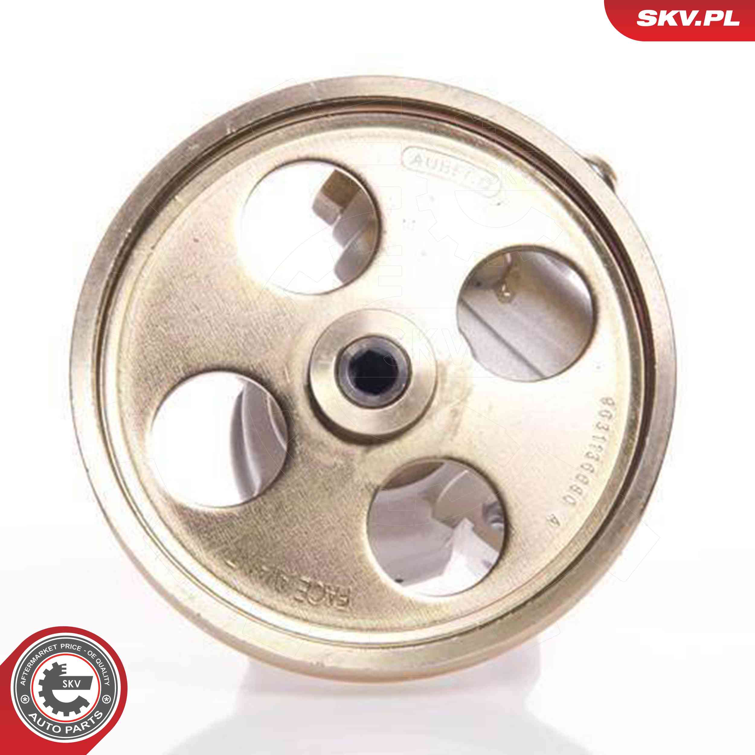 ESEN SKV Hydraulikpumpe, styresystem 10skv119 for PEUGEOT