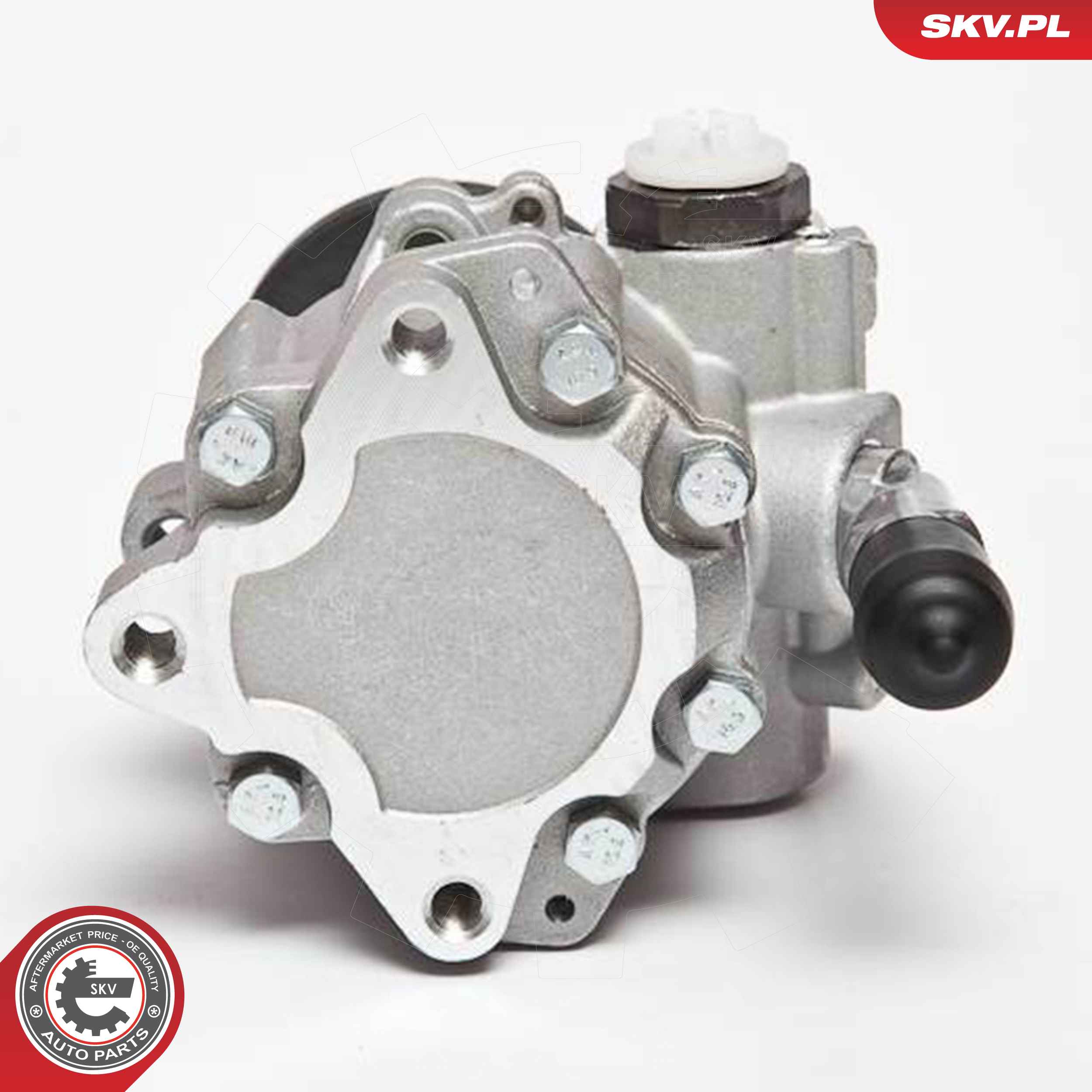 ESEN SKV Hydraulikpumpe, styresystem 10skv123 for BMW