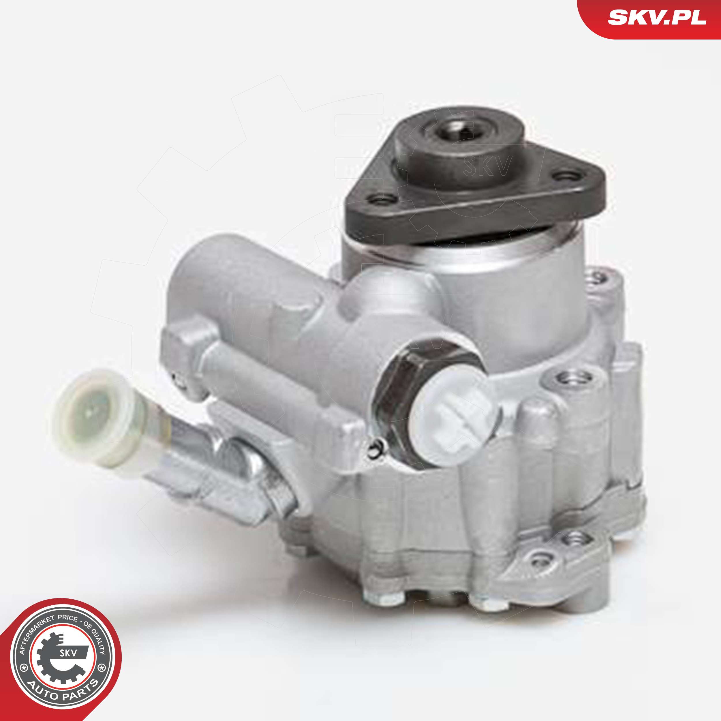ESEN SKV Hydraulikpumpe, styresystem 10skv129 for BMW