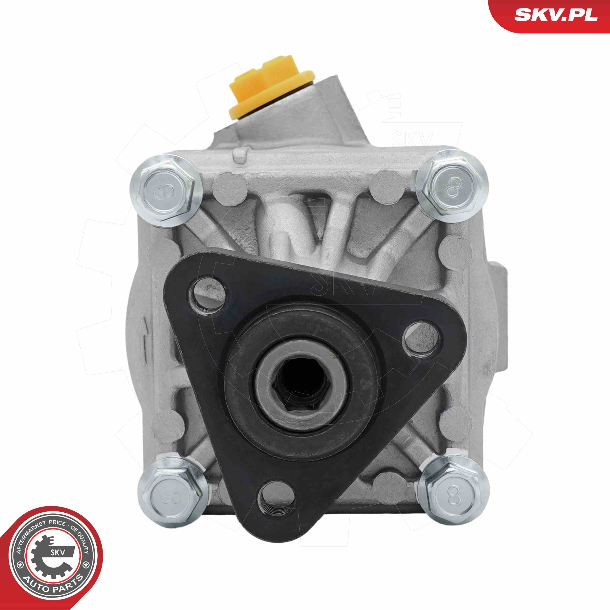 ESEN SKV Hydraulikpumpe, styresystem 10skv497 for BMW