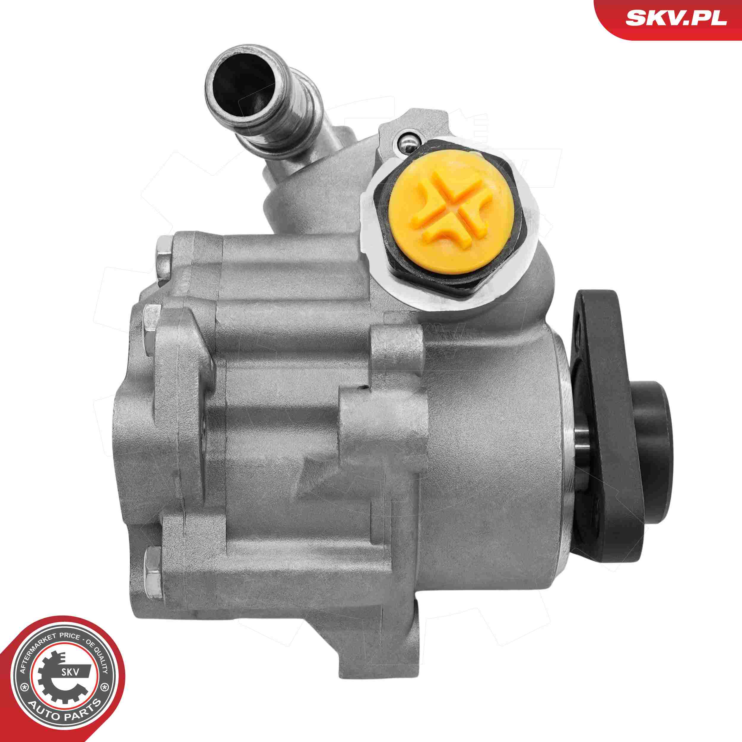 ESEN SKV Hydraulikpumpe, styresystem 10skv448 for OPEL GENERAL MOTORS