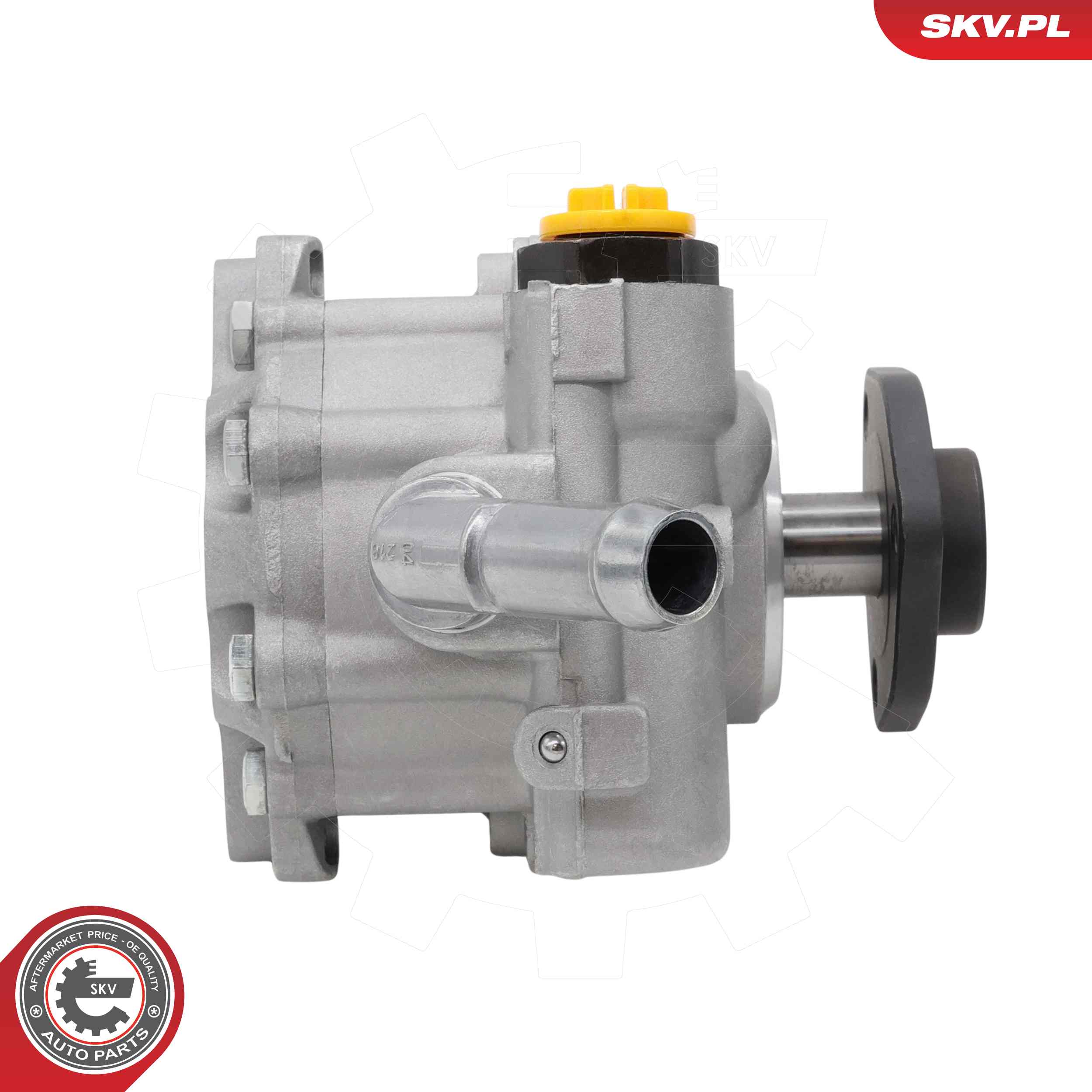 ESEN SKV Hydraulikpumpe, styresystem 10skv486 for BMW