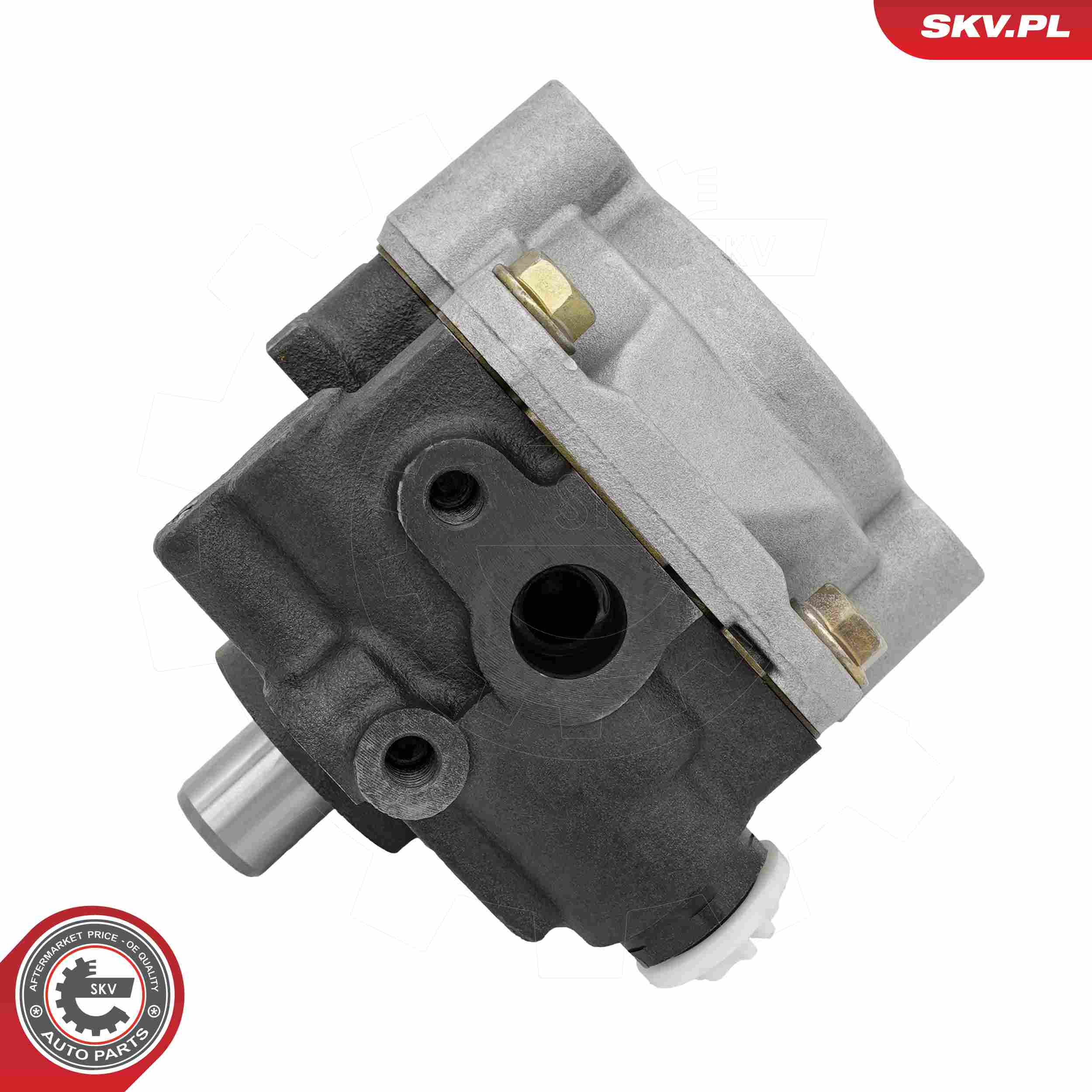 ESEN SKV Hydraulikpumpe, styresystem 10skv406 for DODGE