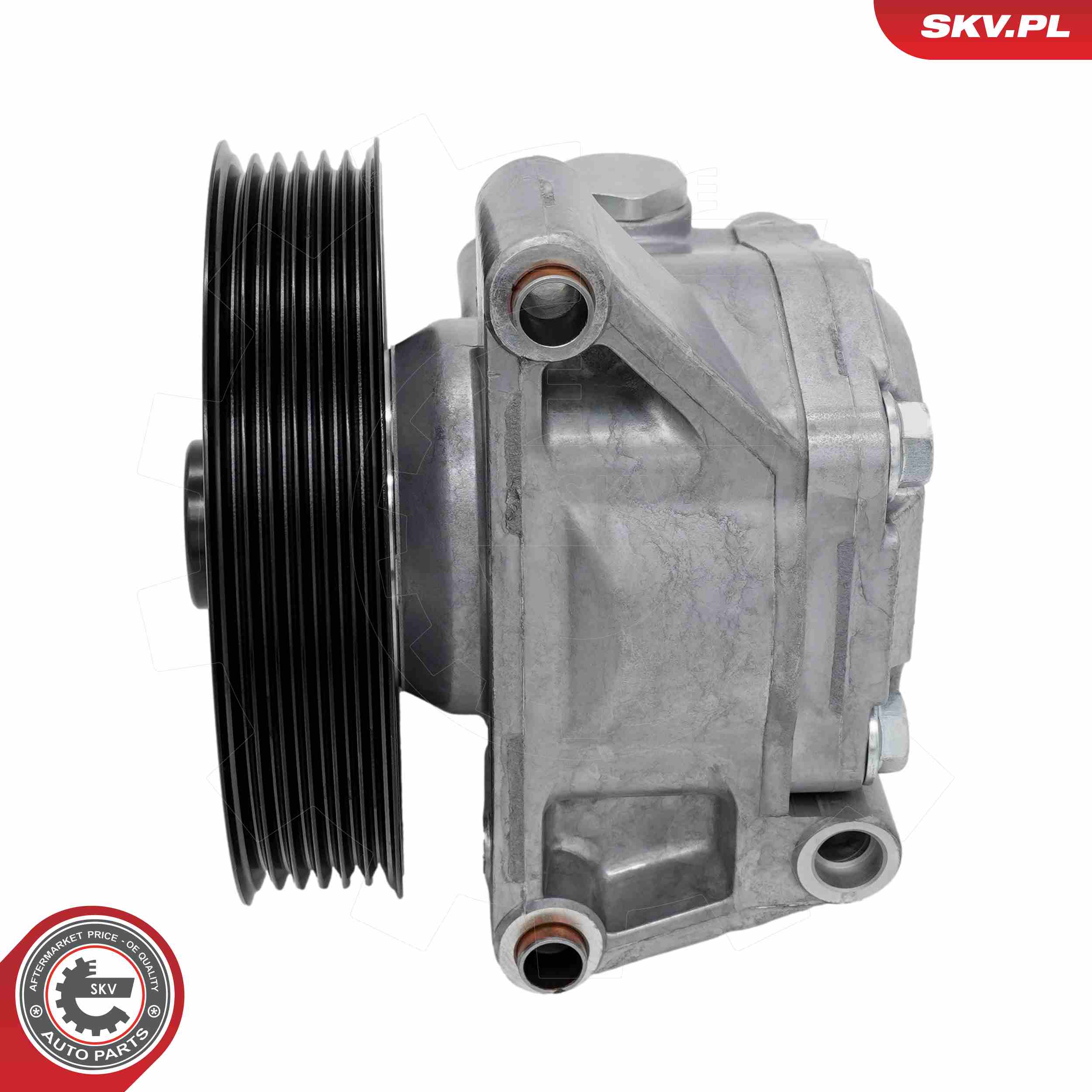 ESEN SKV Hydraulikpumpe, styresystem 10skv489 for FORD