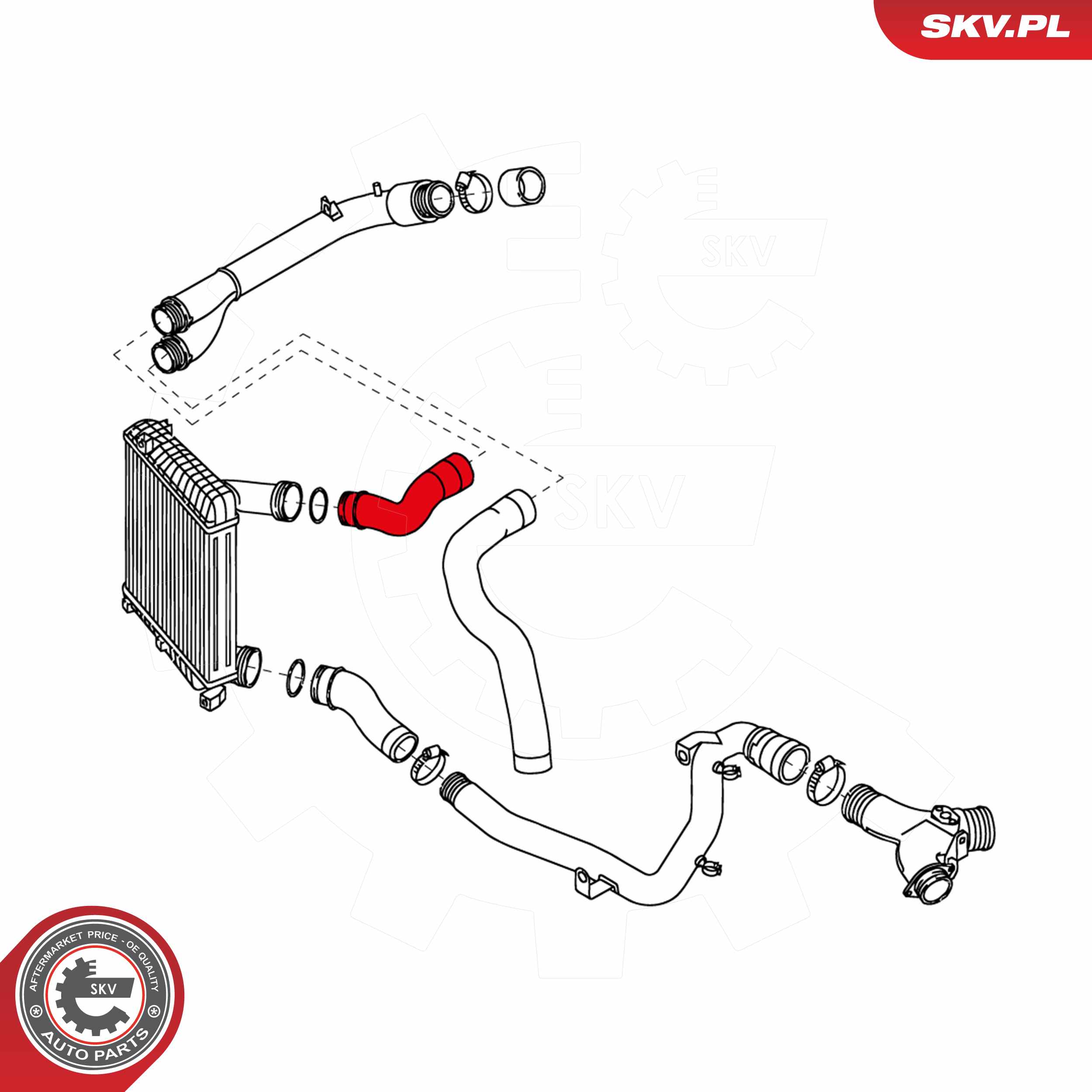 ESEN SKV Ladeluftslange 43skv165 i passagerside for VW VAG