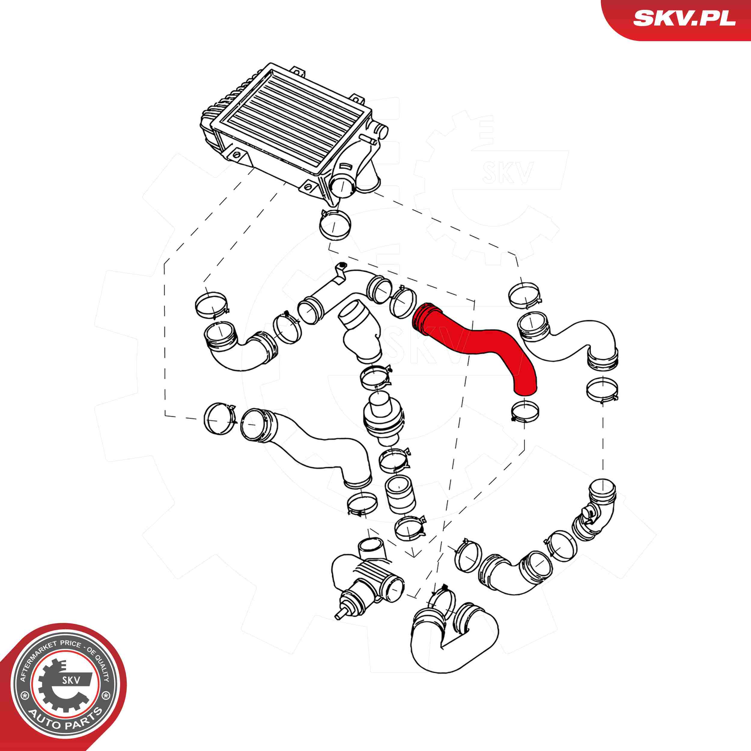 ESEN SKV Ladeluftslange 43skv163 for VW