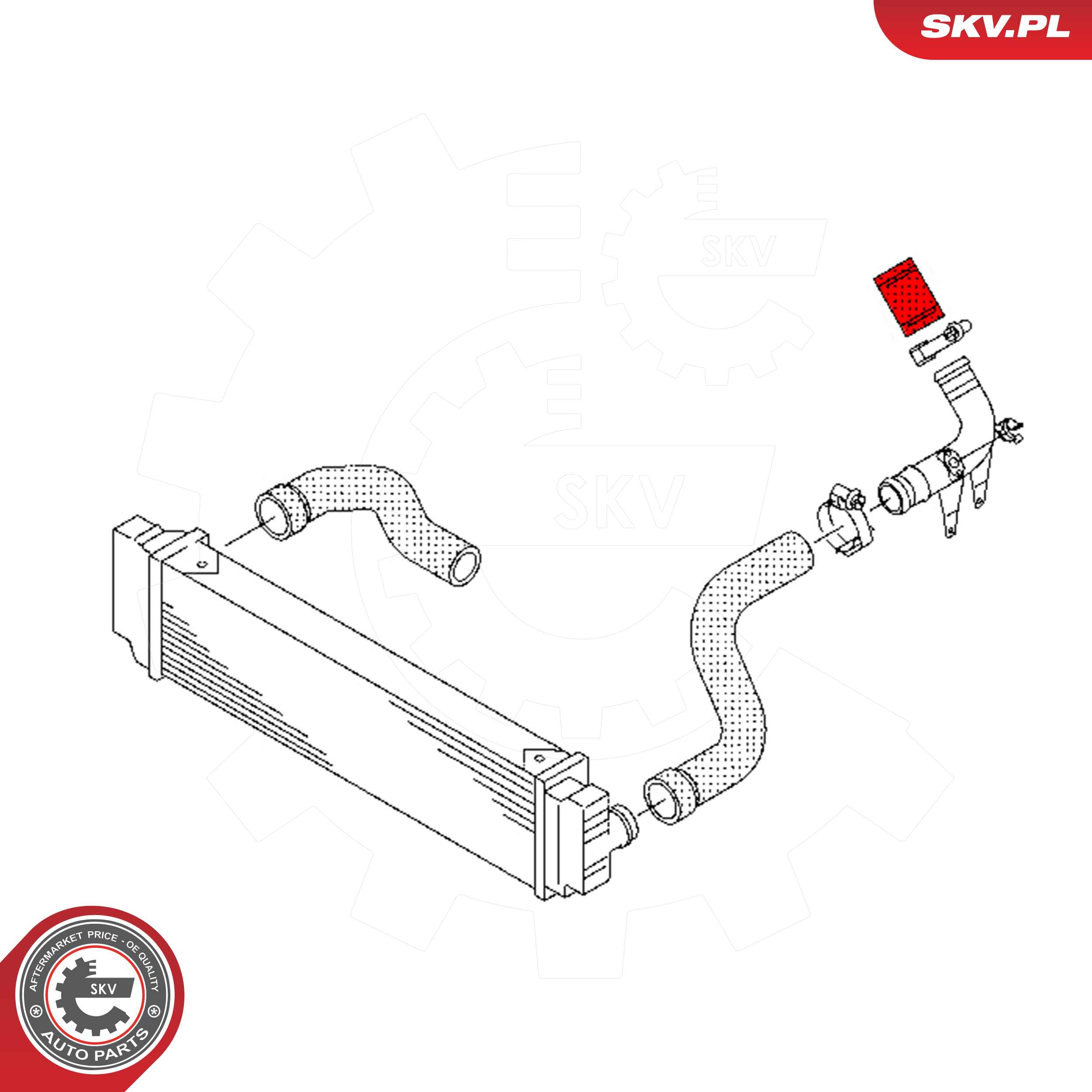 ESEN SKV Ladeluftslange 43skv441 for SKODA