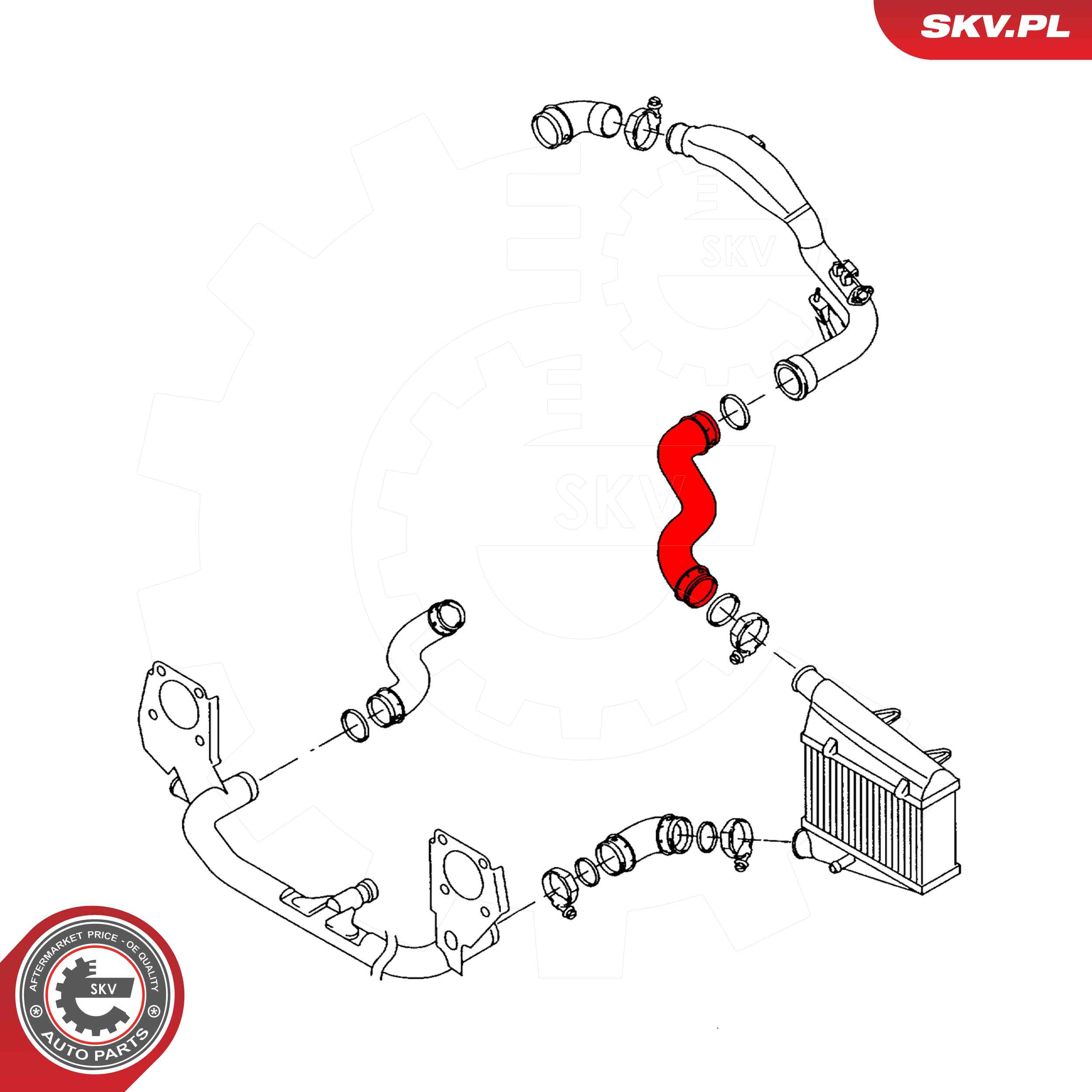 ESEN SKV Ladeluftslange 43skv308 for AUDI