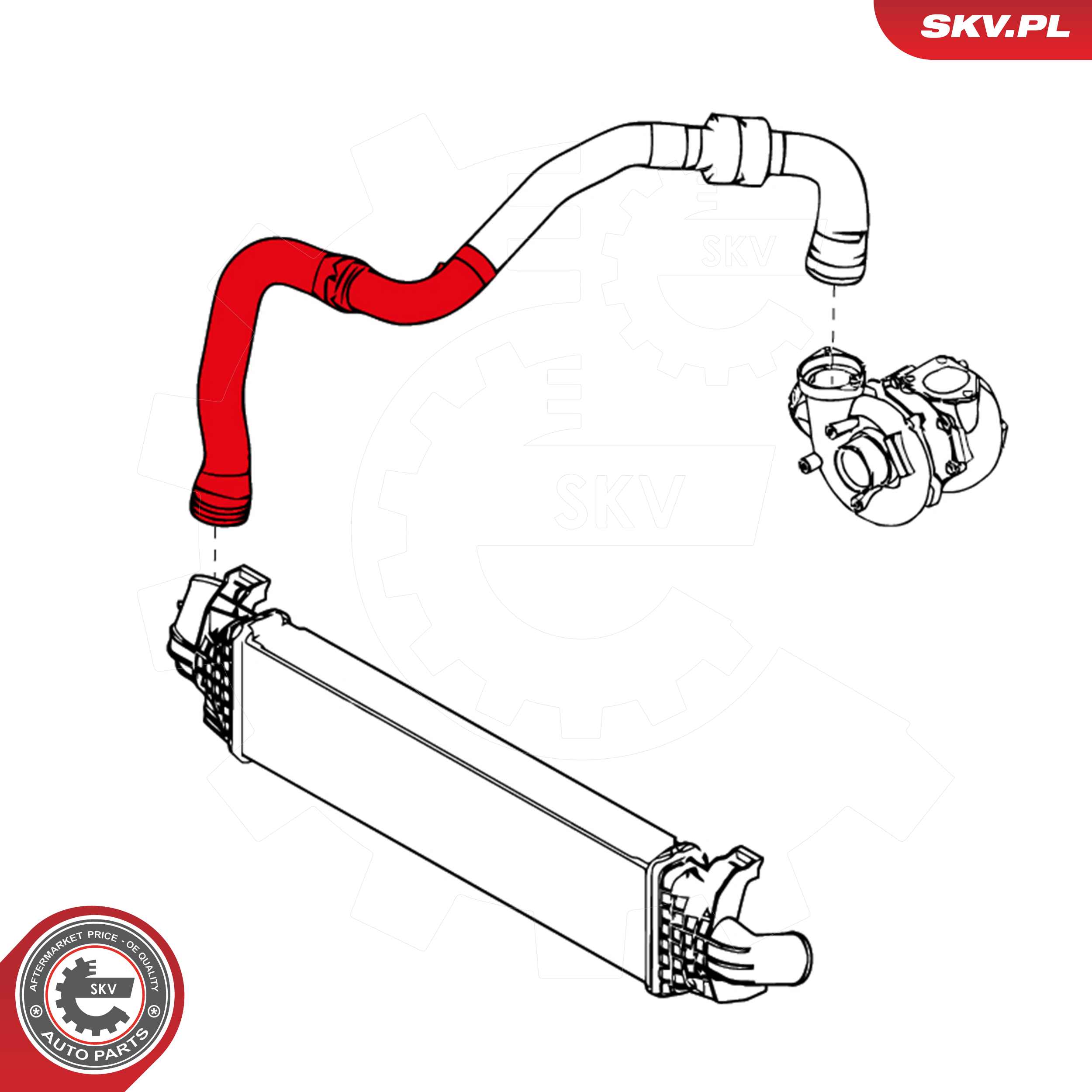 ESEN SKV Ladeluftslange 24skv880 for RENAULT