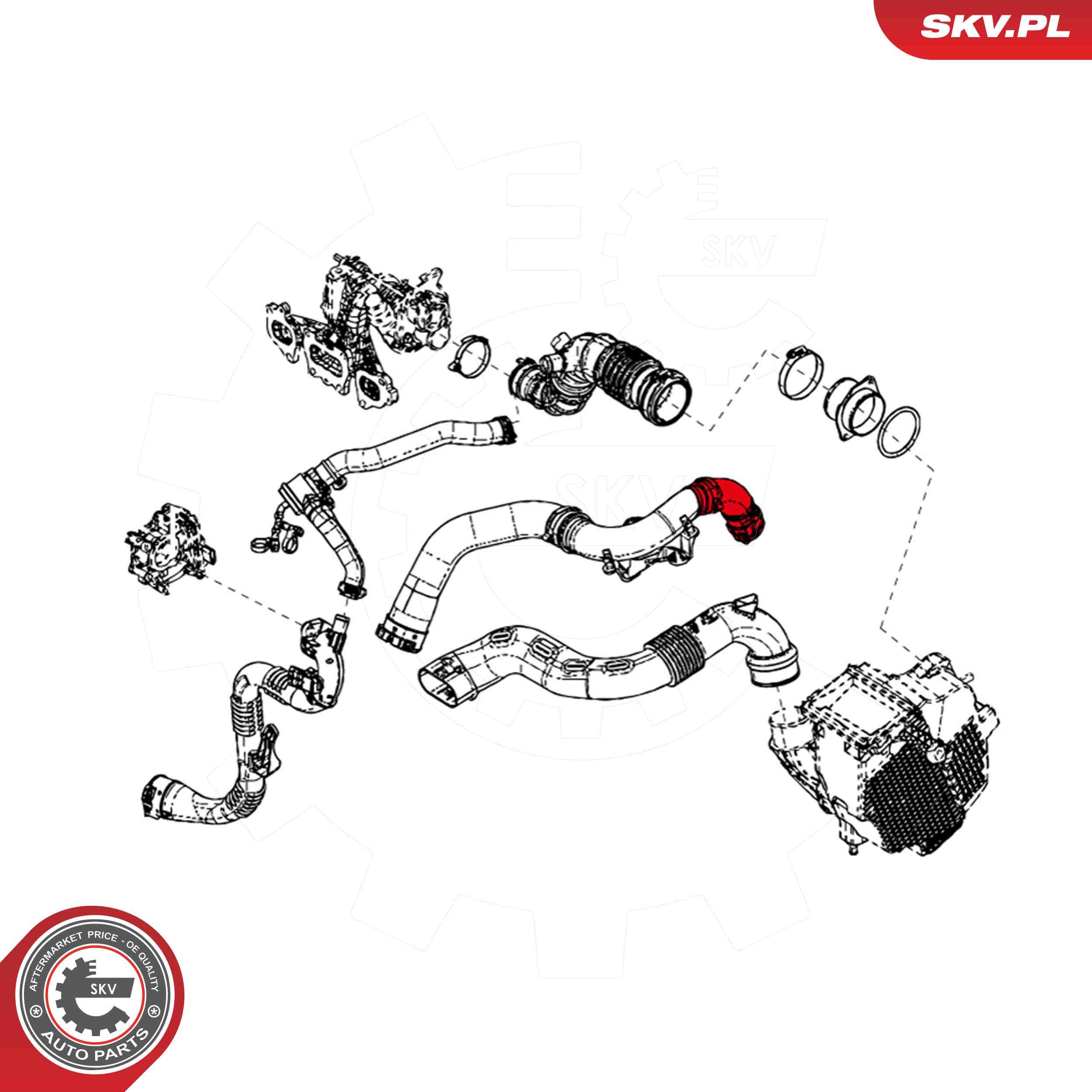 ESEN SKV Ladeluftslange 24skv833 for RENAULT