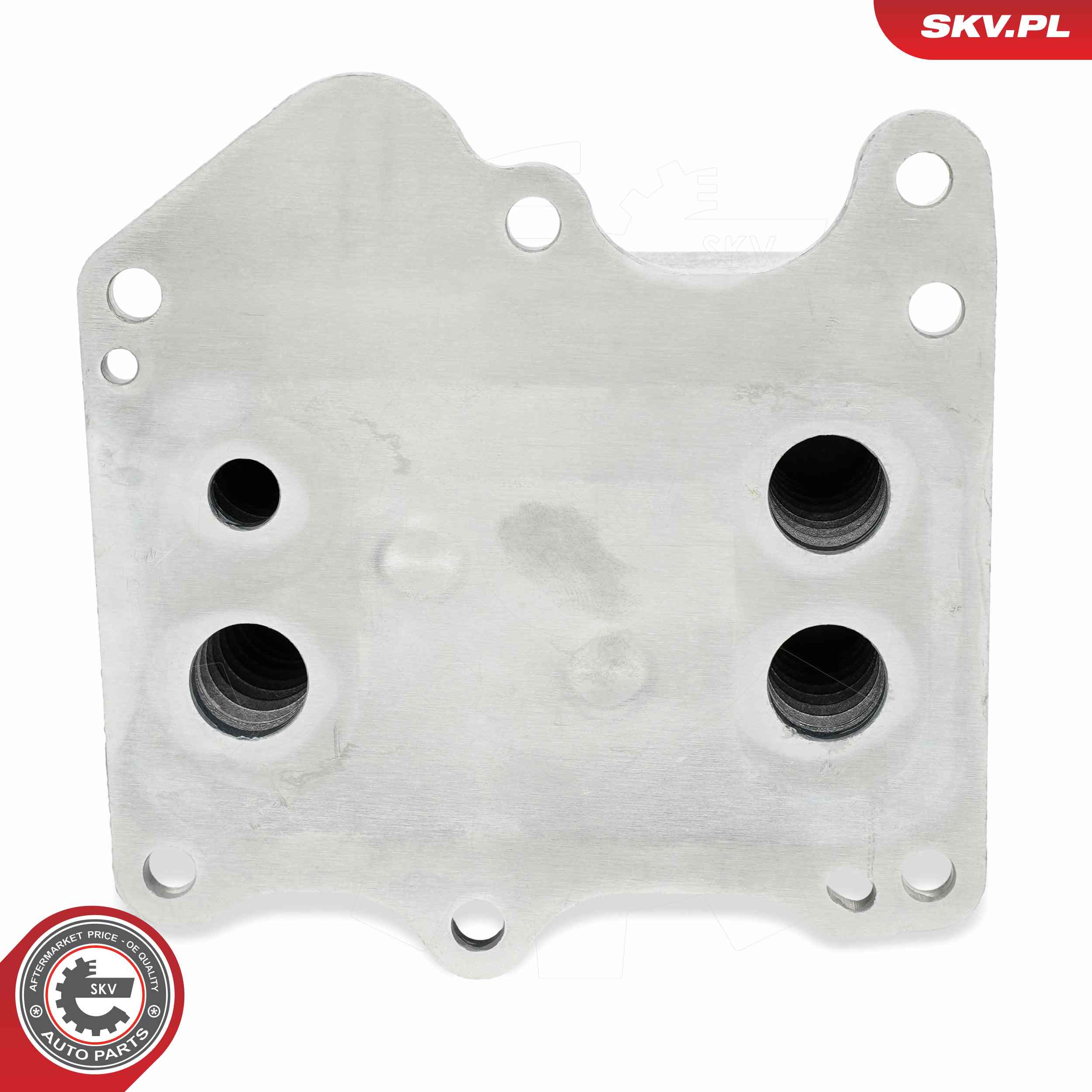 ESEN SKV Oliekøler, motorolie 31skv337 for FORD PEUGEOT FIAT