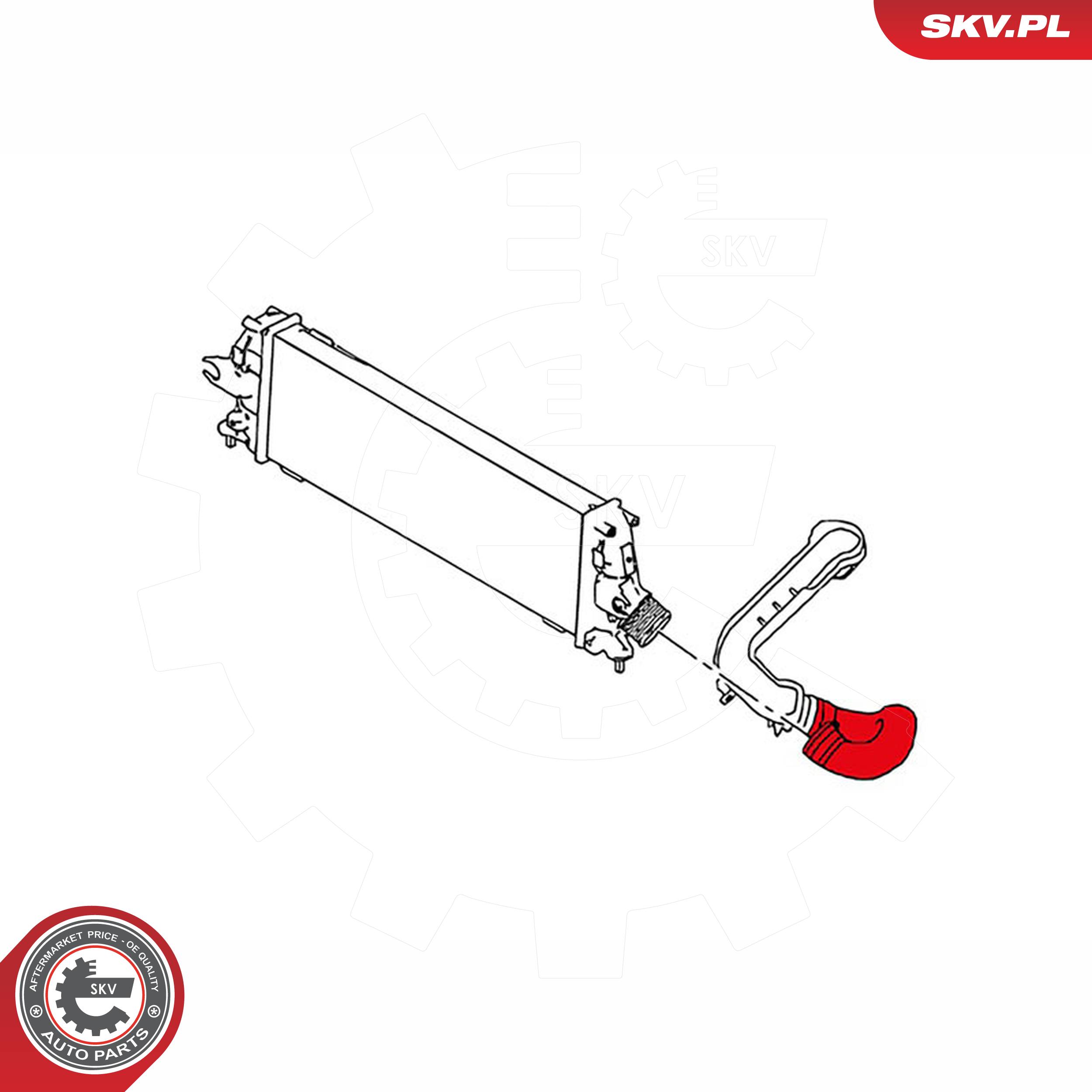 ESEN SKV Ladeluftslange 24skv210 for GENERAL MOTORS DAEWOO OPEL NISSAN RENAULT