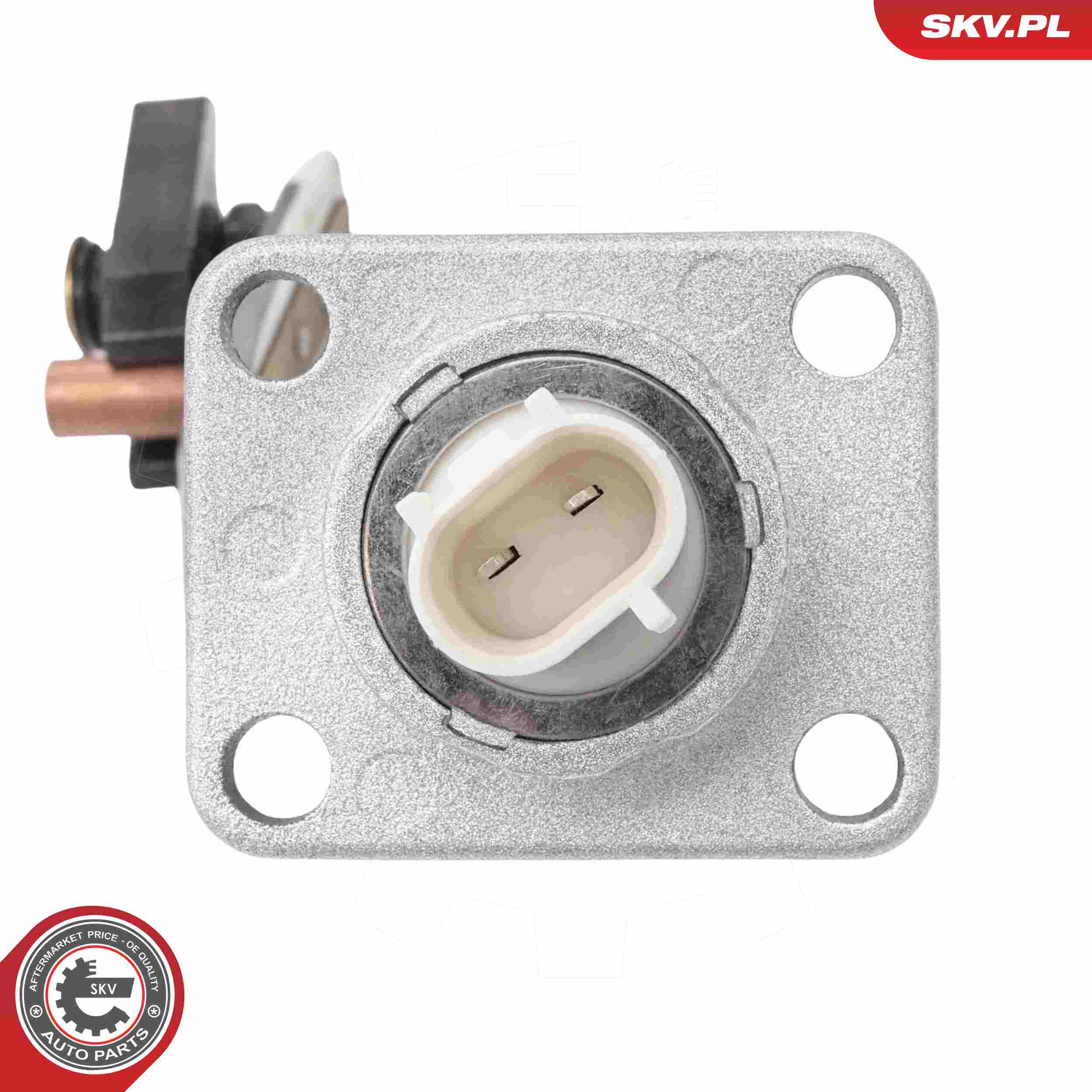 ESEN SKV Sensor, motorolieniveau 17skv950 for TOYOTA
