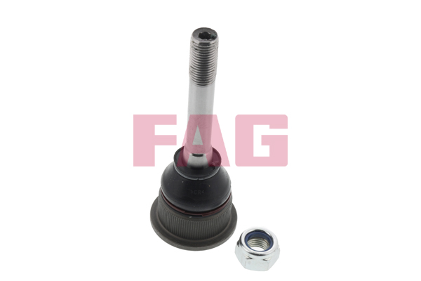 SCHAEFFLER FAG Bærekugle 825004610 for BMW