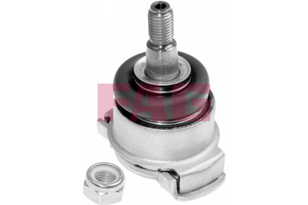SCHAEFFLER FAG Bærekugle 825004710 for BMW