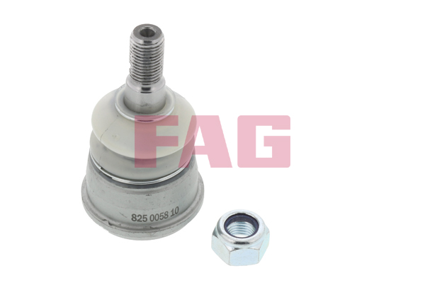 SCHAEFFLER FAG Bærekugle 825005810 for MERCEDES-BENZ