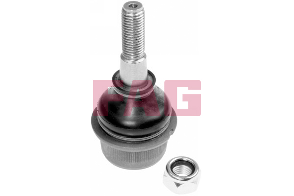 SCHAEFFLER FAG Bærekugle 825013110 for VW
