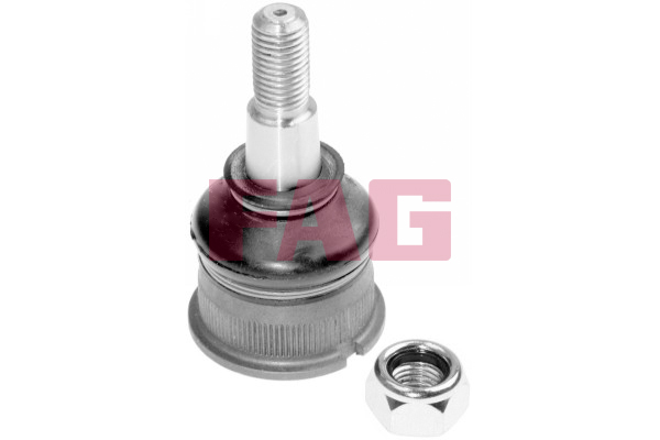 SCHAEFFLER FAG Bærekugle 825013210 for VW