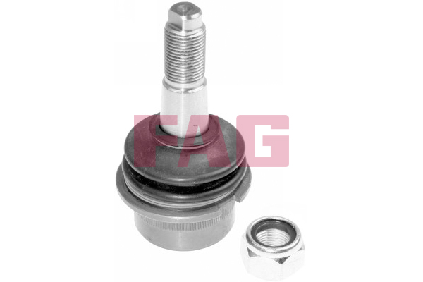 SCHAEFFLER FAG Bærekugle 825014510 for VW