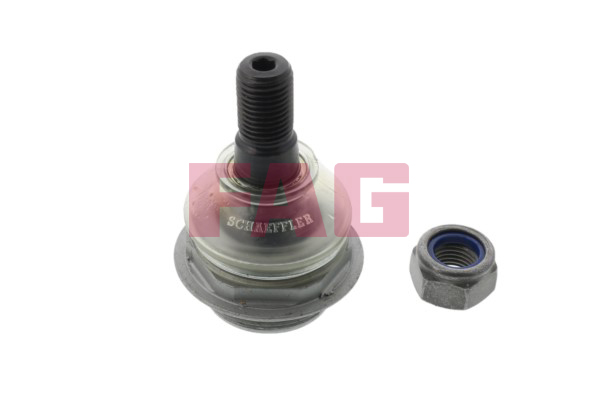 SCHAEFFLER FAG Bærekugle 825019210 for PEUGEOT