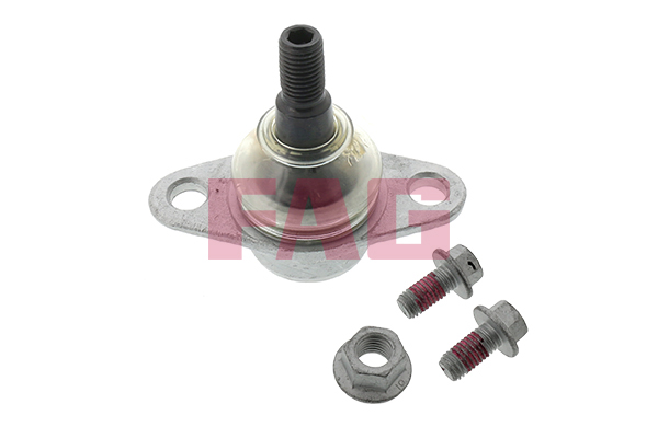 SCHAEFFLER FAG Bærekugle 825020610 for MINI BMW